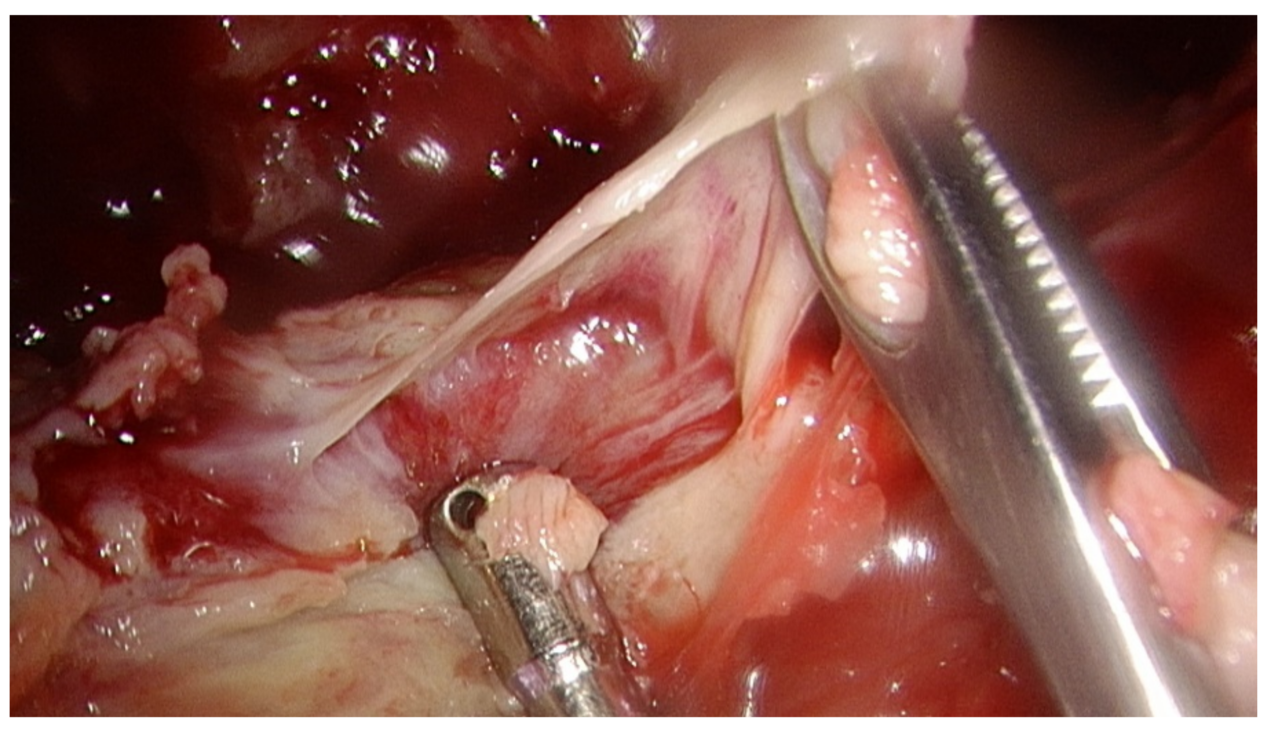 Jcm 11 01882 g001 550