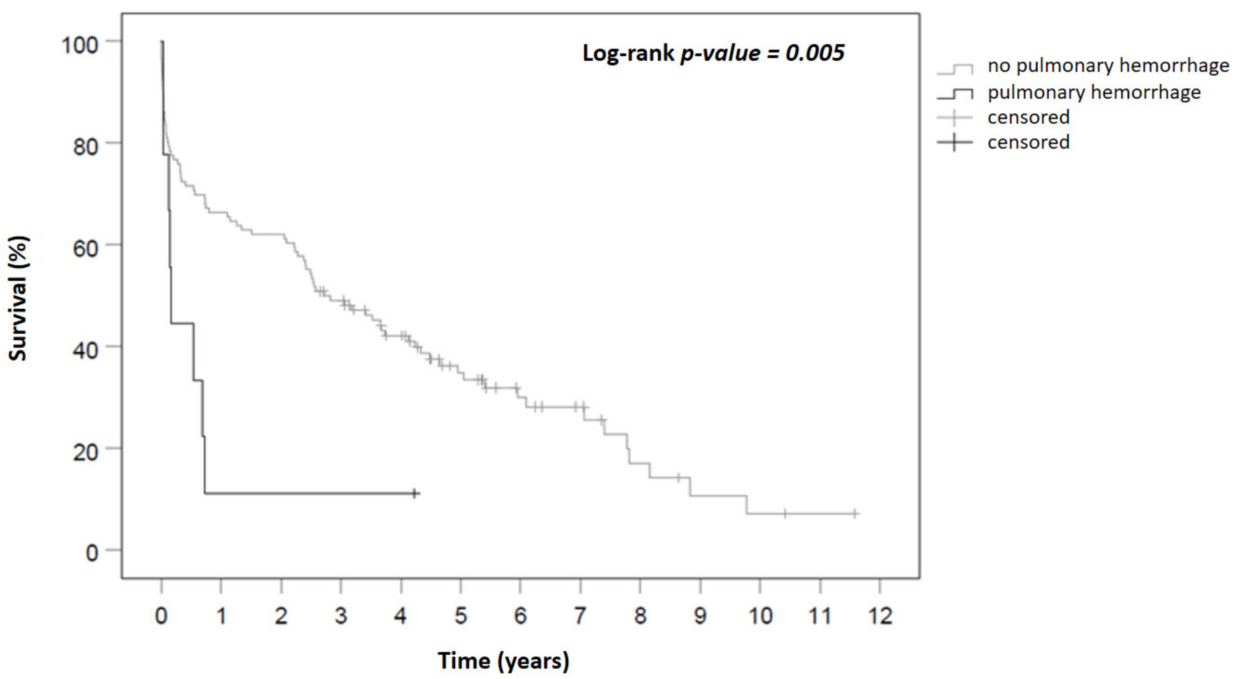 Jcm 11 01908 g001 Jcm 11 01908 g001