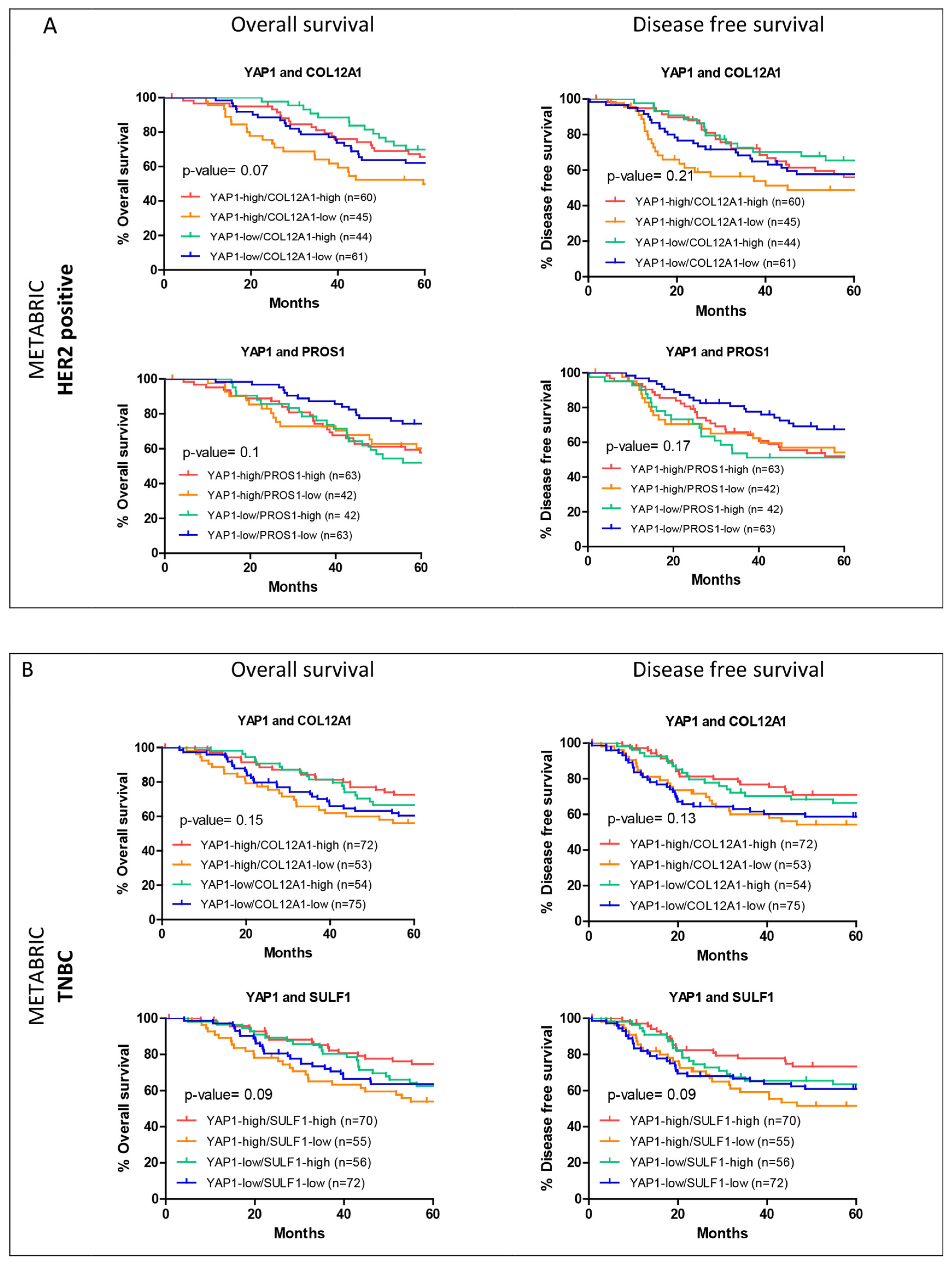 Jcm 11 01947 g006 550
