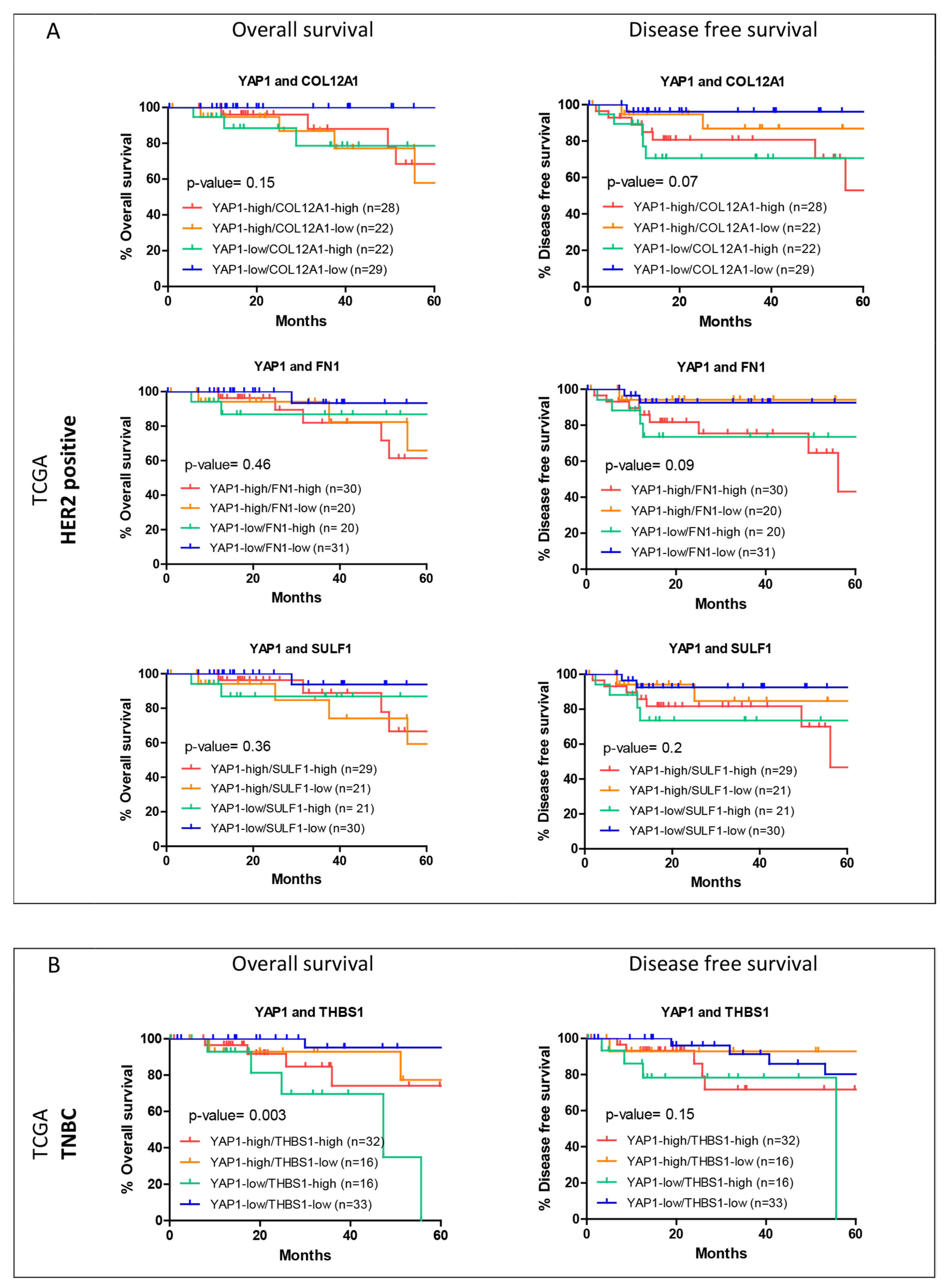 Jcm 11 01947 g007 550