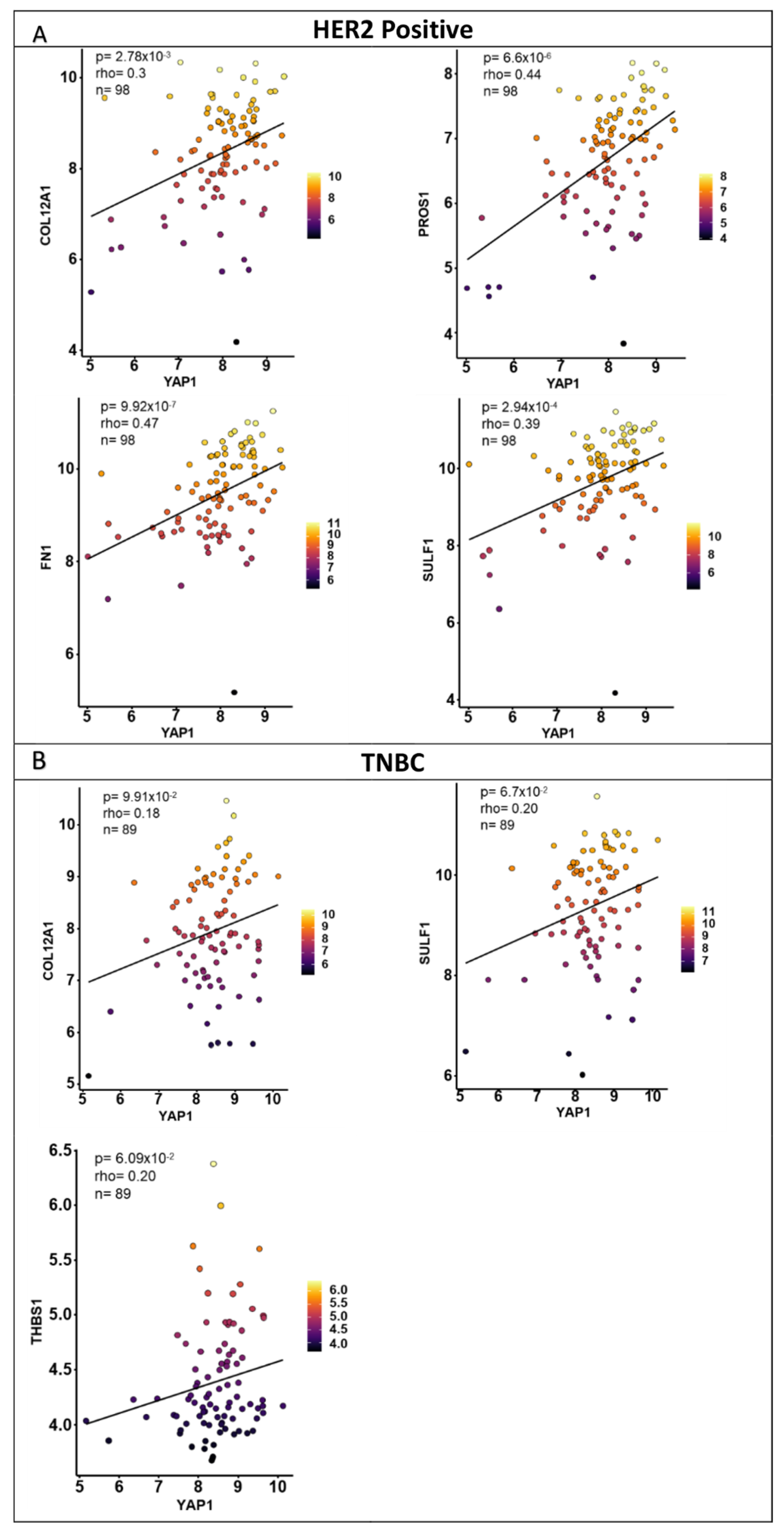 Jcm 11 01947 g010 550