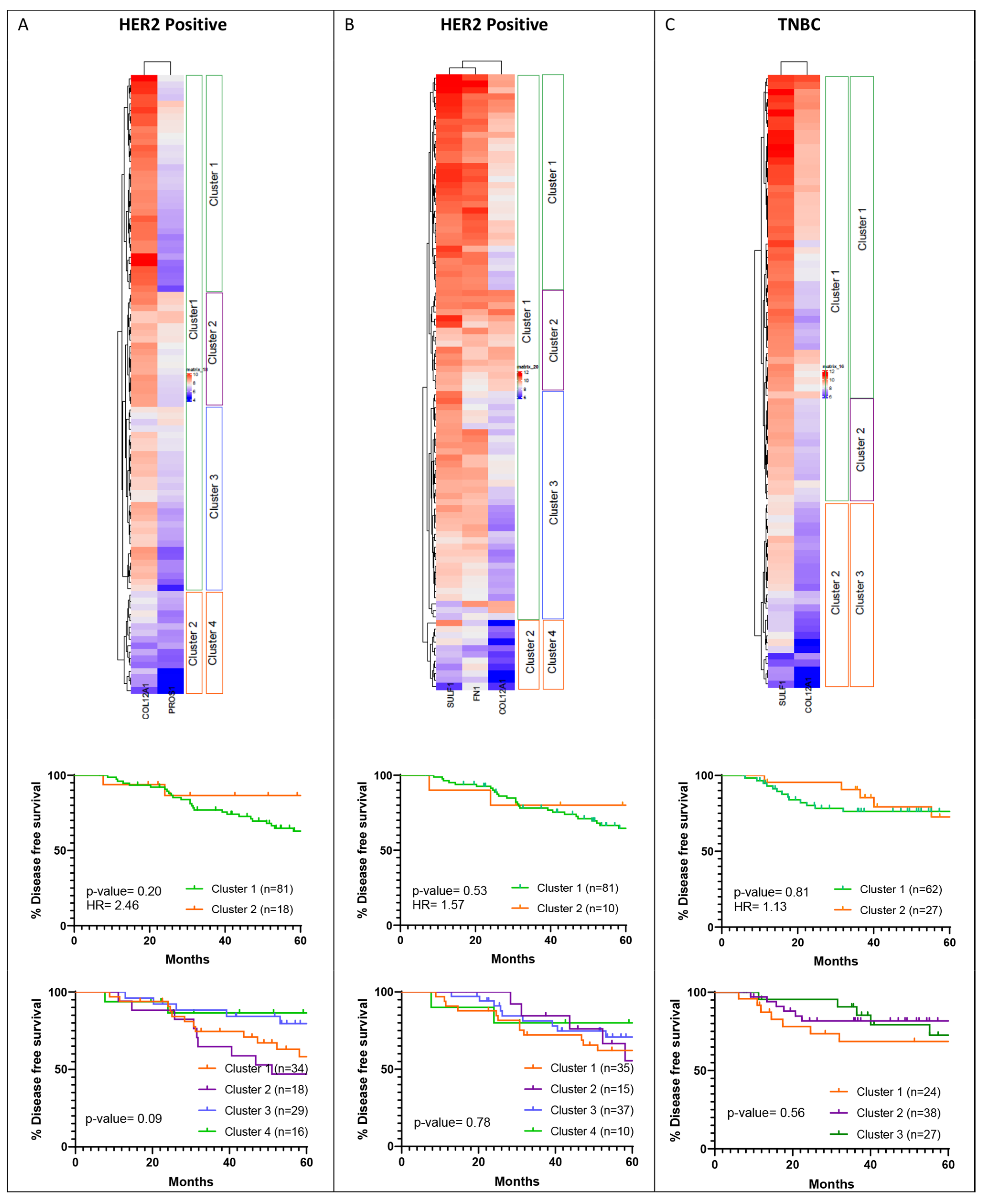Jcm 11 01947 g013 550