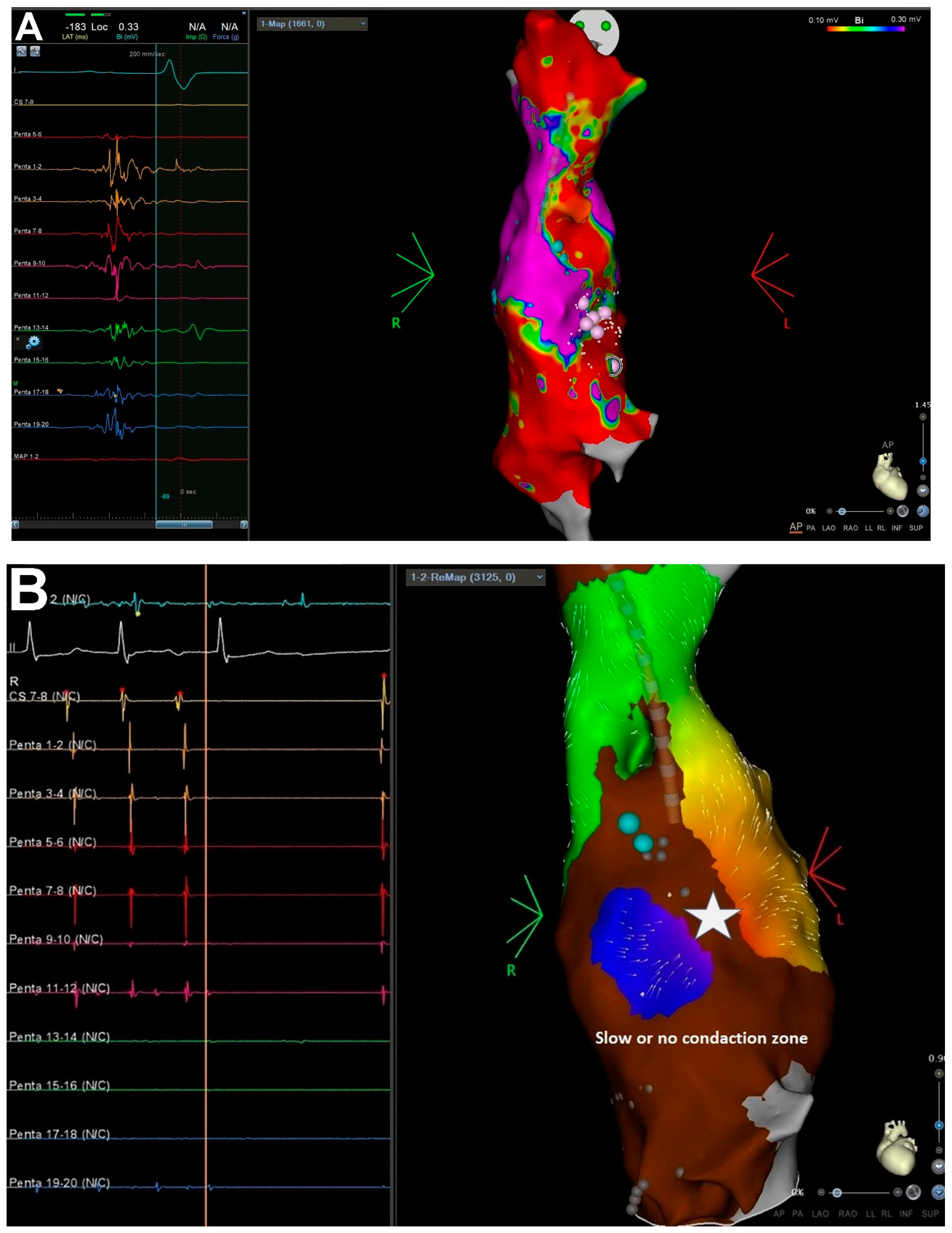 Jcm 11 01968 g001 Jcm 11 01968 g001