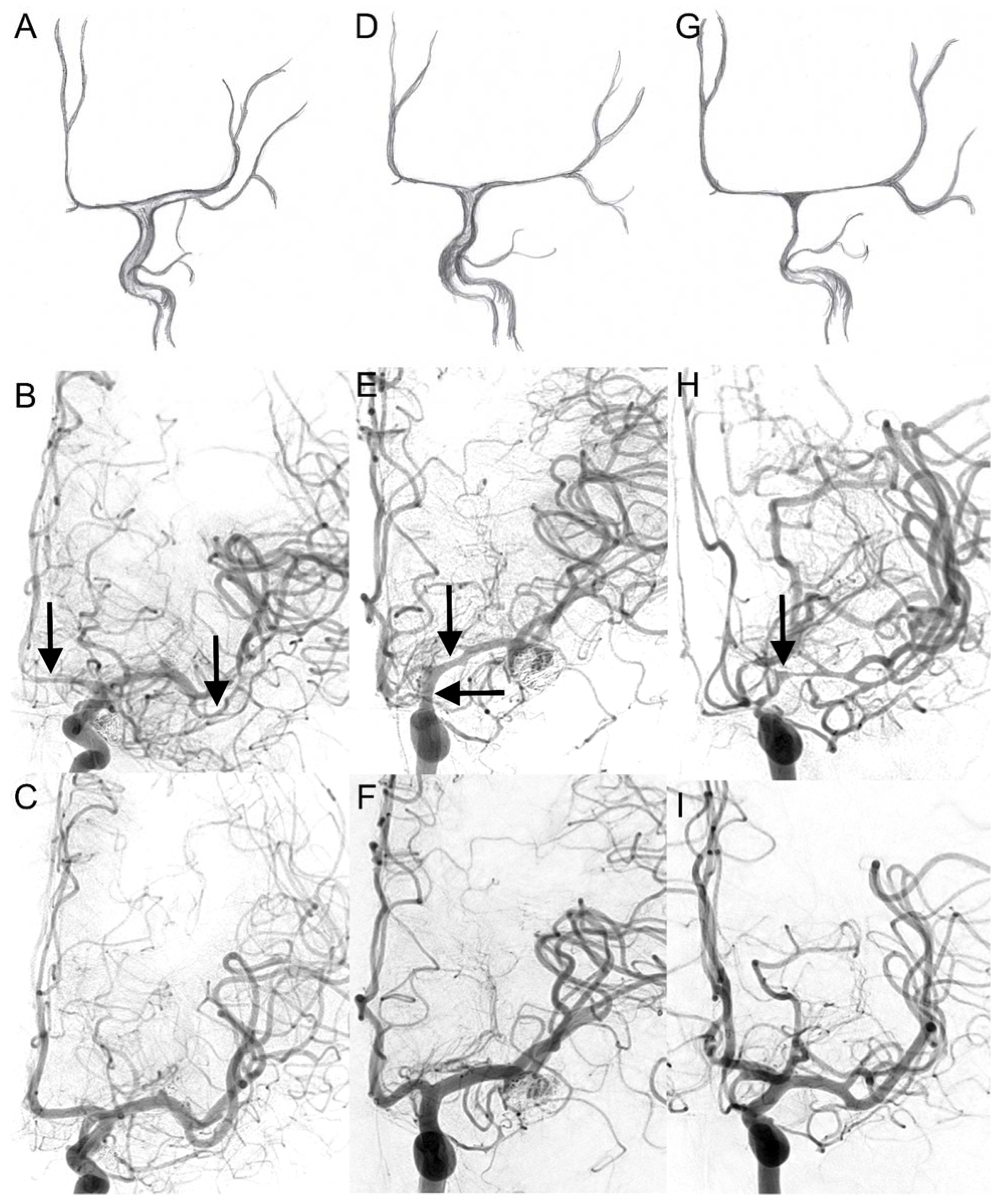 Jcm 11 02011 g001 550