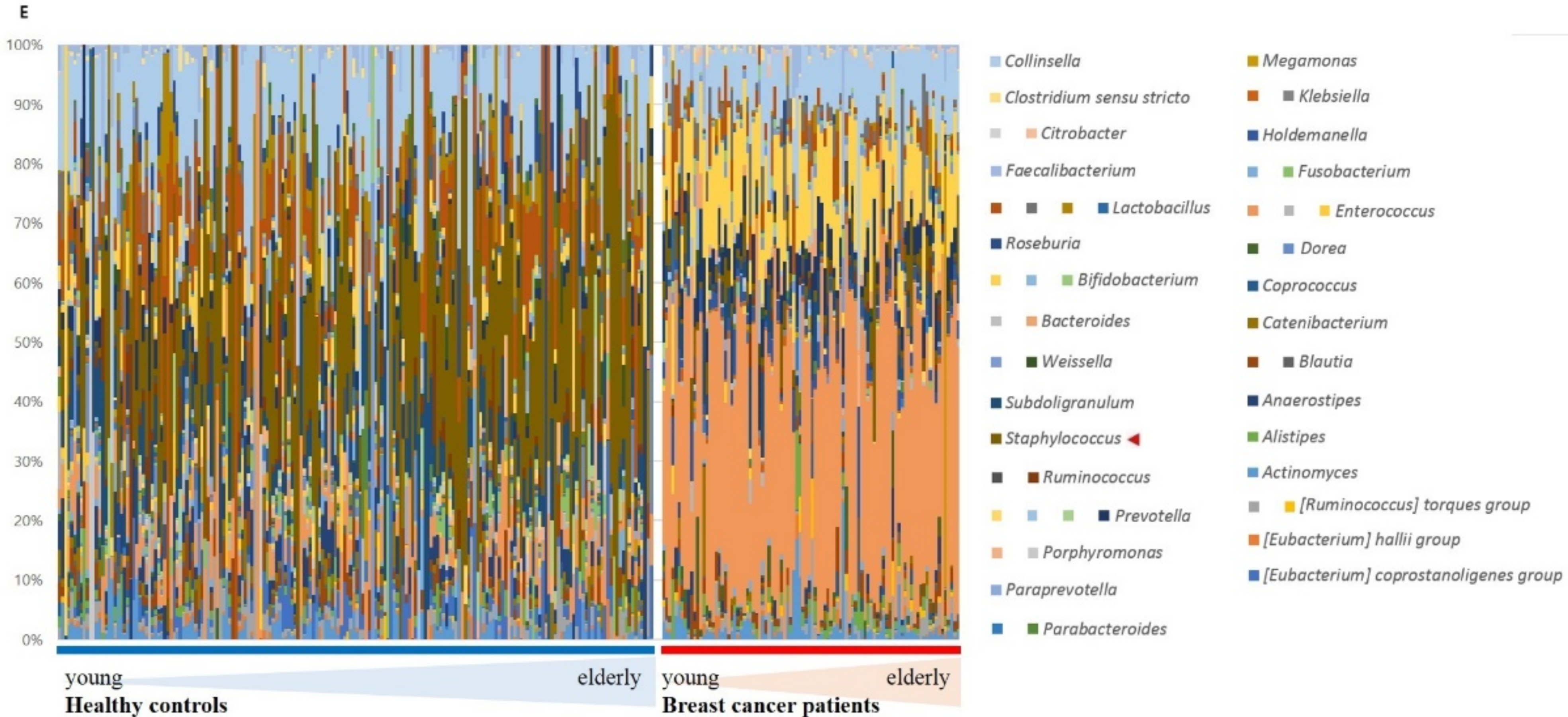 Jcm 11 02030 g001b Jcm 11 02030 g001b