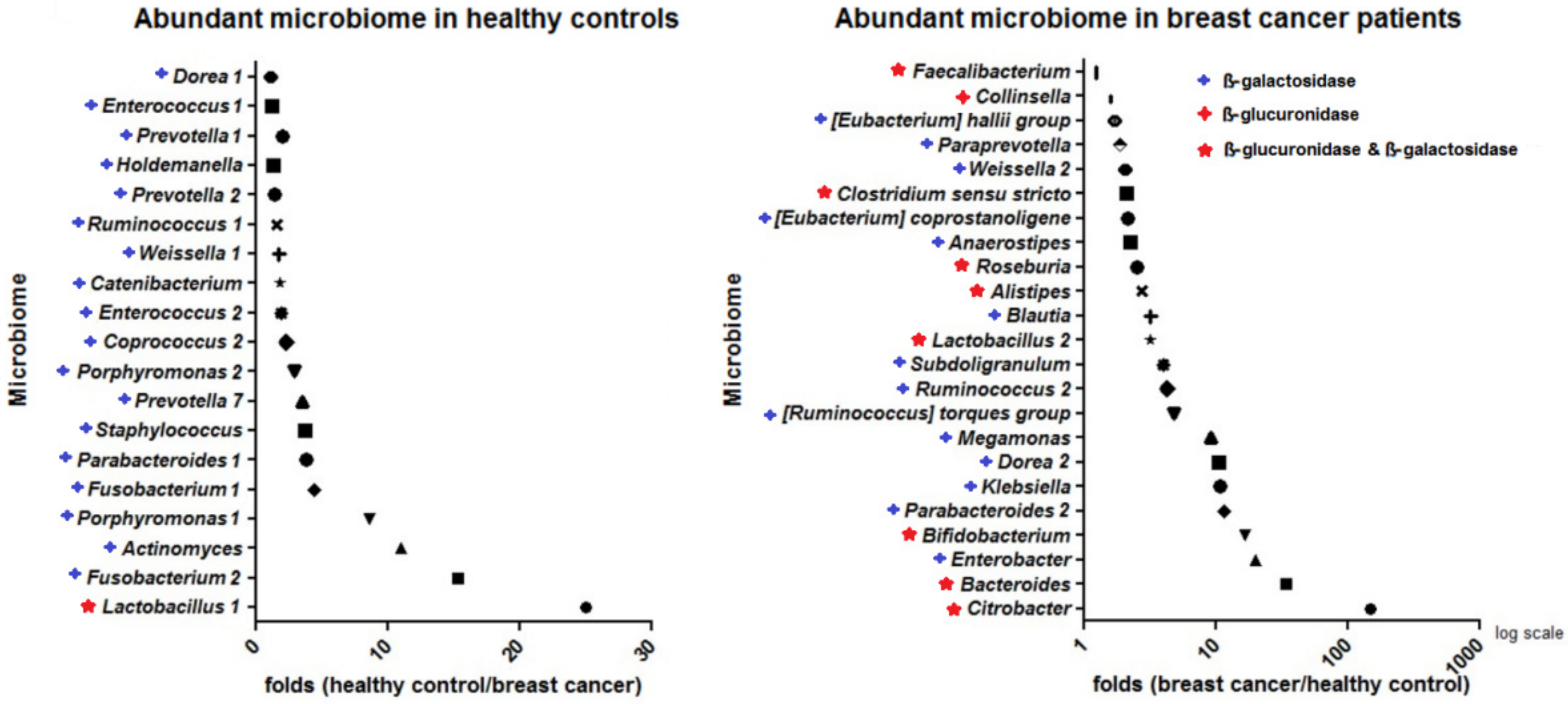 Jcm 11 02030 g002 Jcm 11 02030 g002