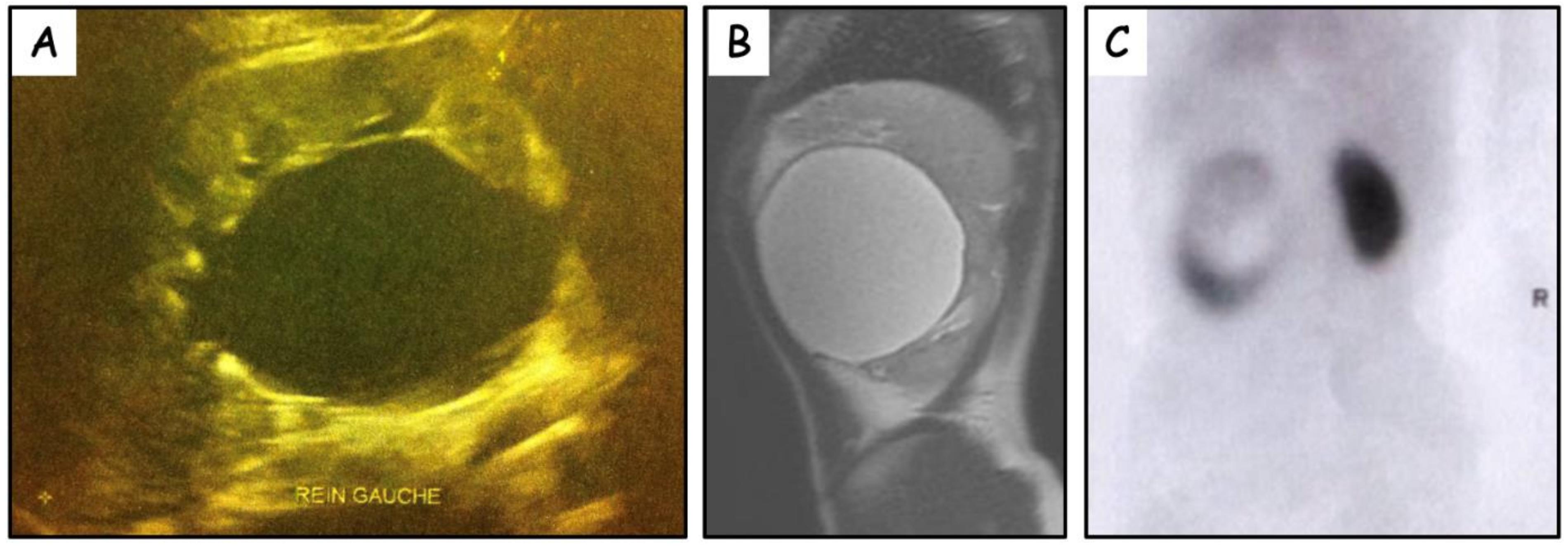 Jcm 11 02035 g001 550