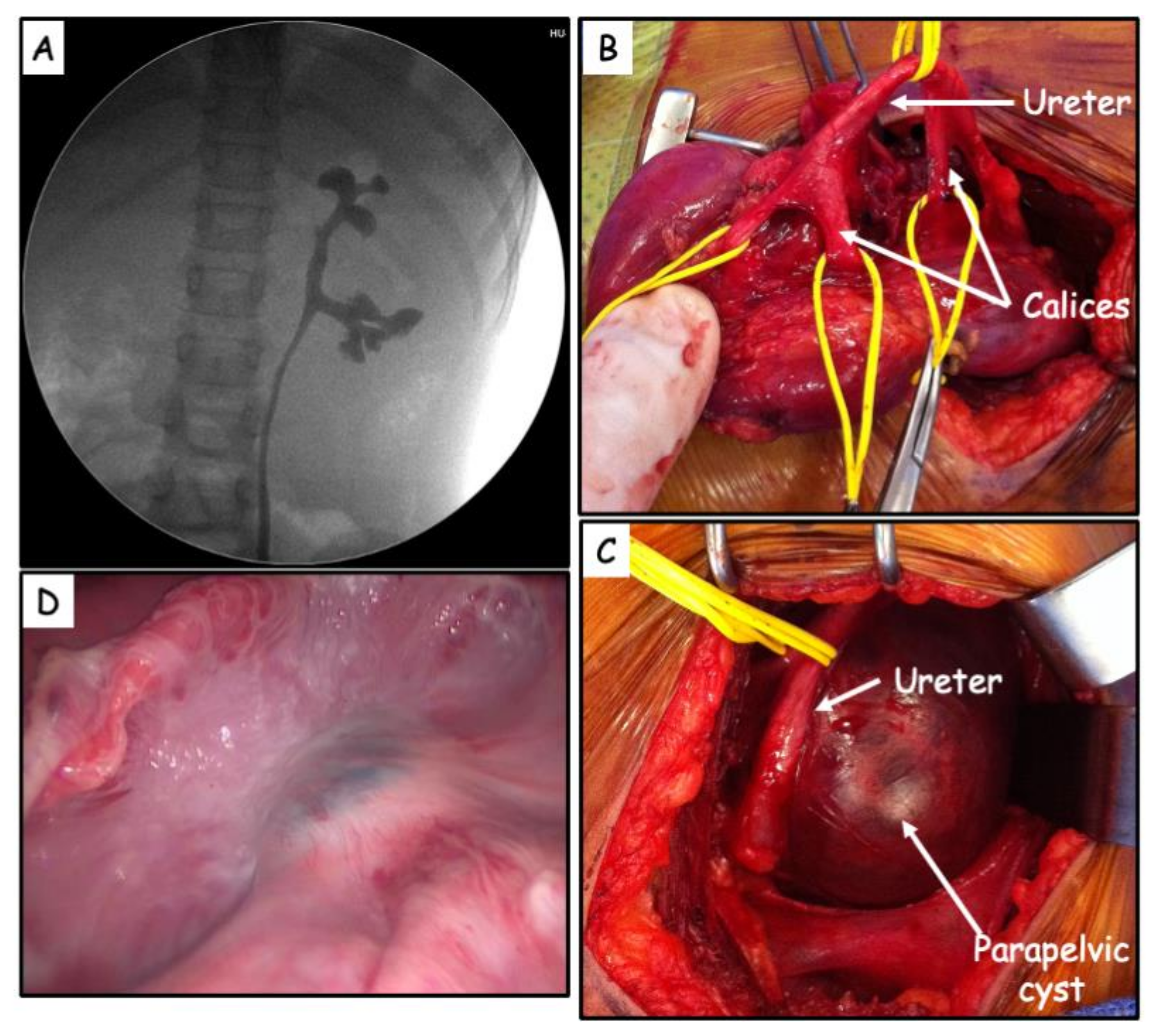 Jcm 11 02035 g002 550