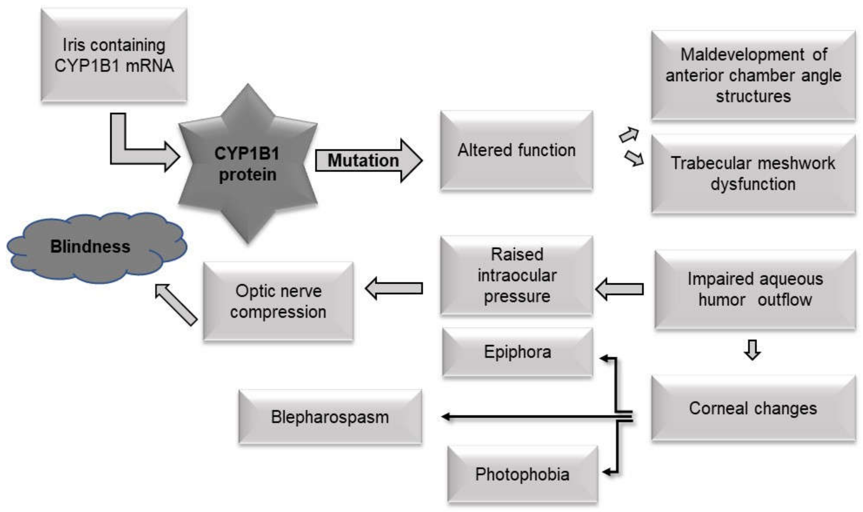 Jcm 11 02048 g002 550