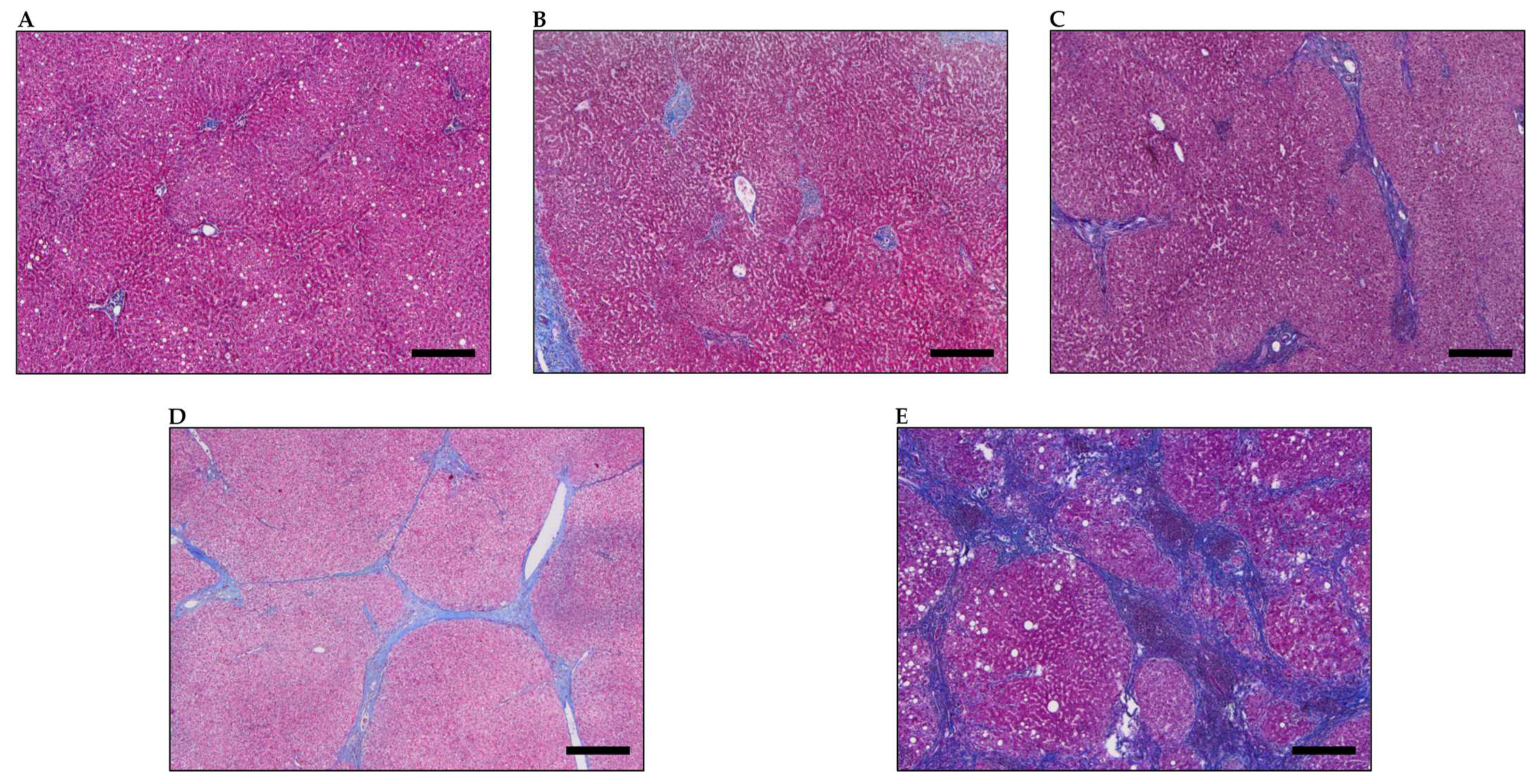 Jcm 11 02057 g001 550