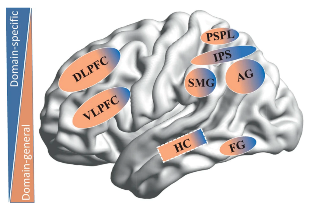 Jcm 11 02082 g001 550