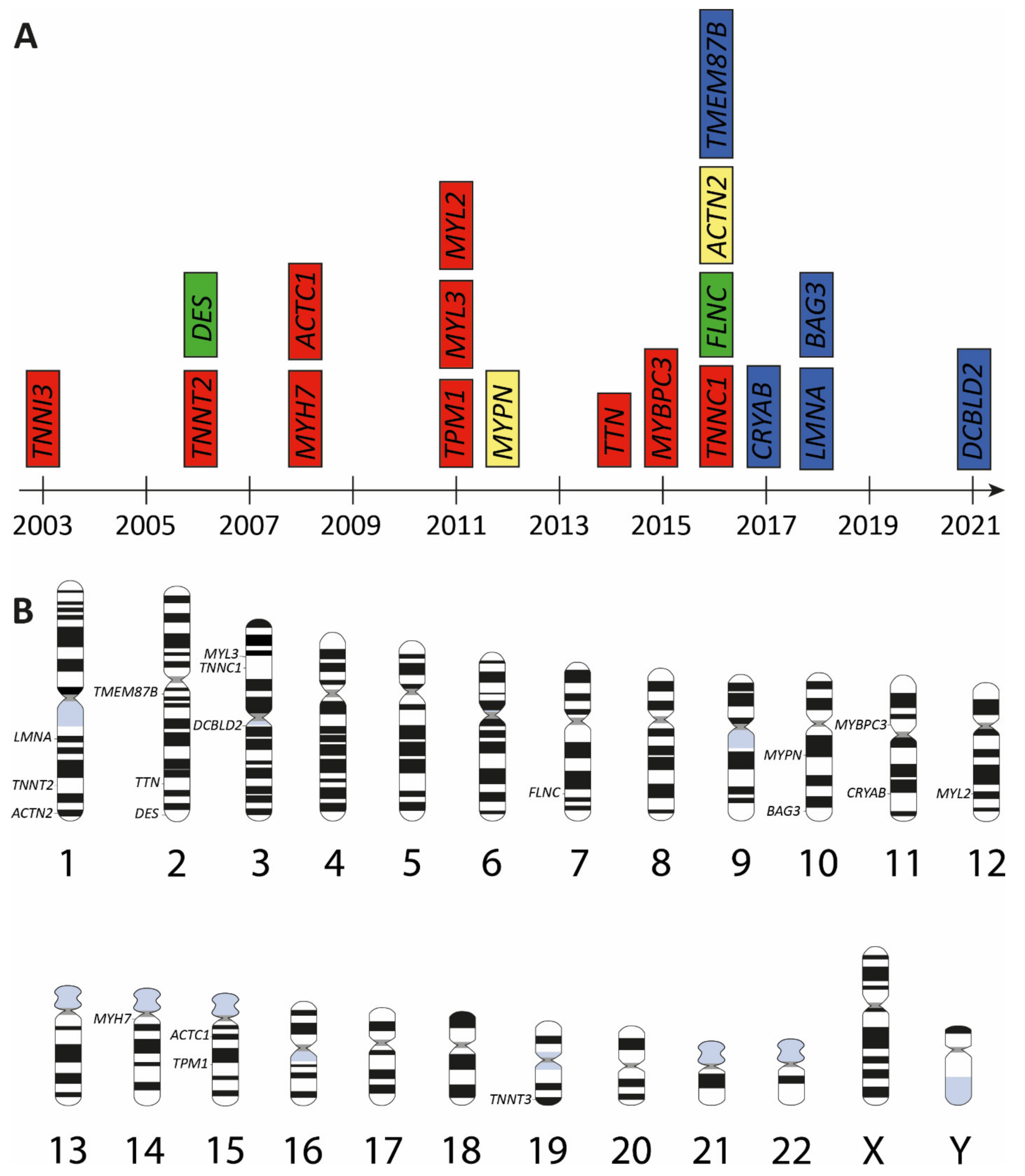 Jcm 11 02094 g002 Jcm 11 02094 g002