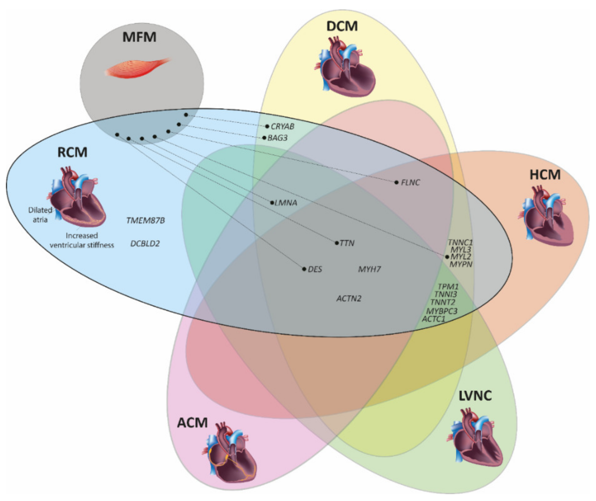Jcm 11 02094 g003 Jcm 11 02094 g003