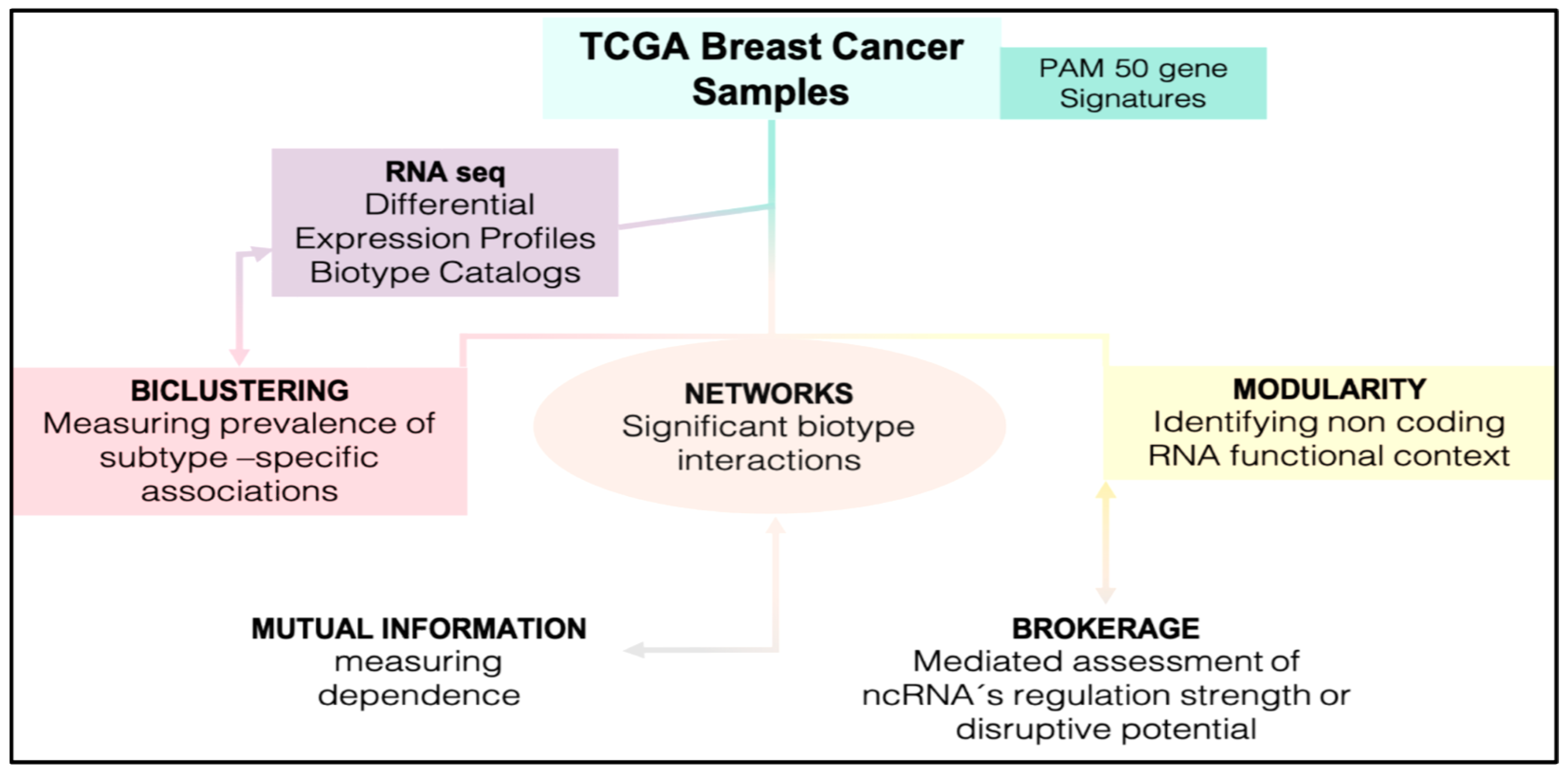 Jcm 11 02103 g001 550
