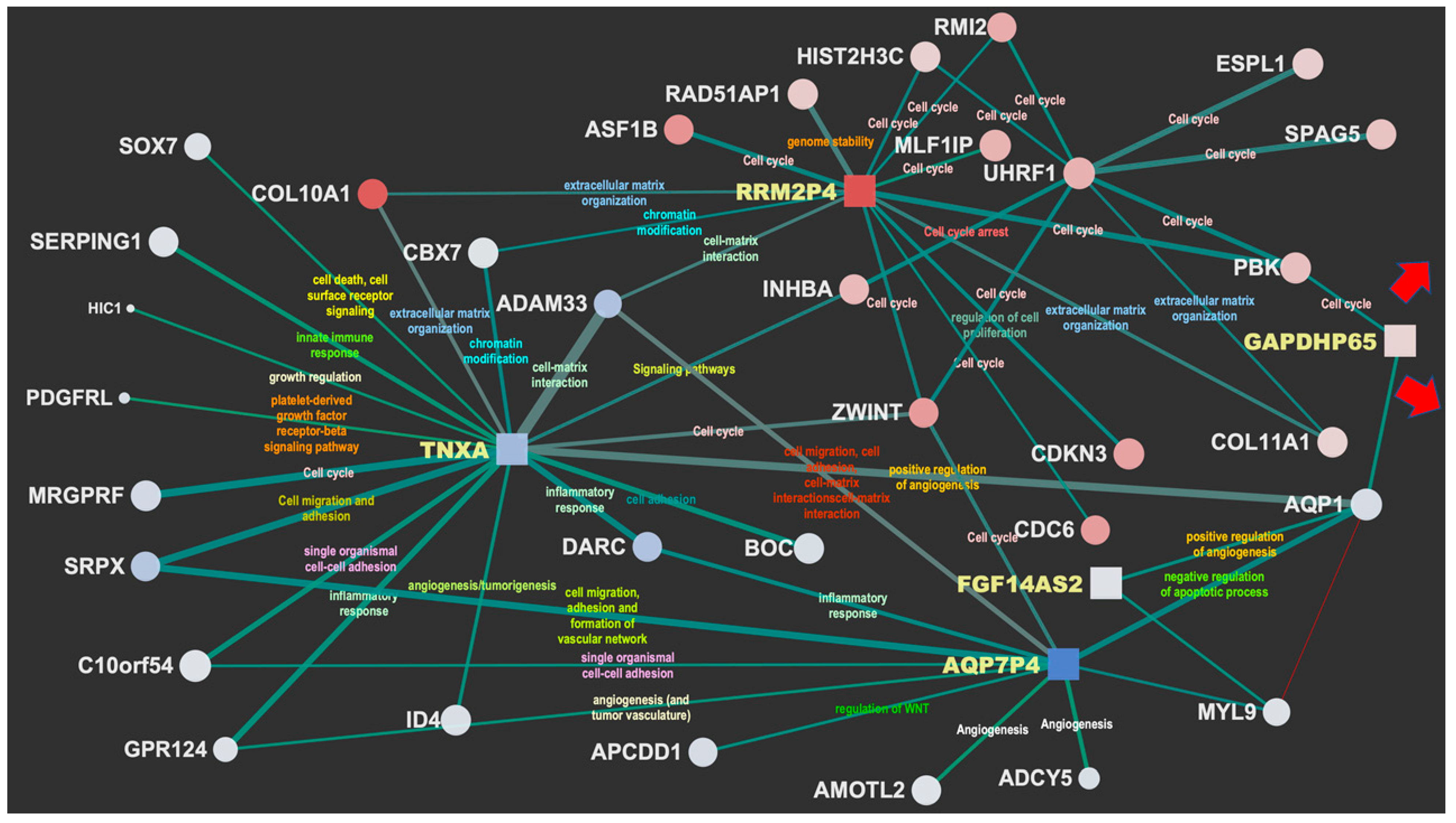 Jcm 11 02103 g003a 550