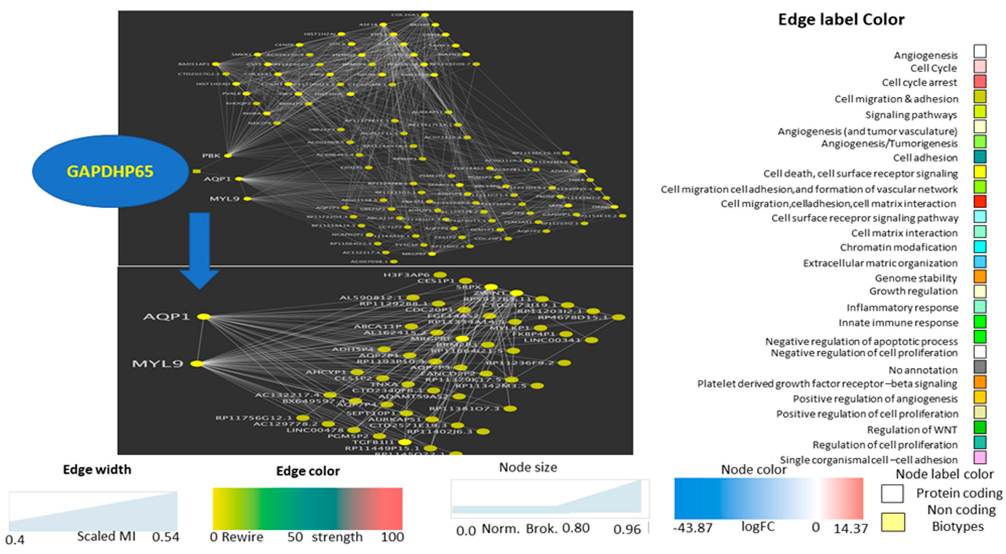 Jcm 11 02103 g003b 550