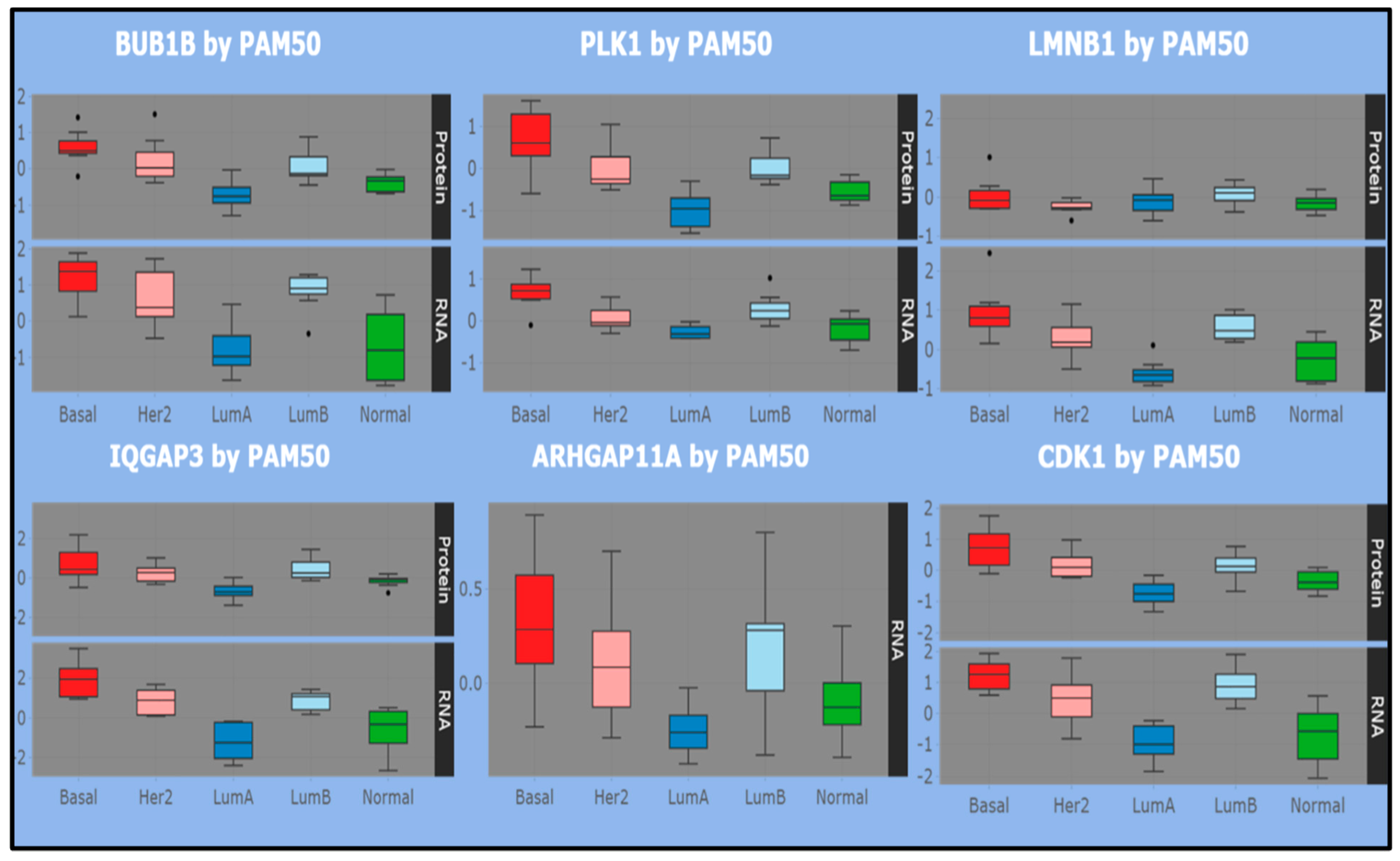 Jcm 11 02103 g004a 550