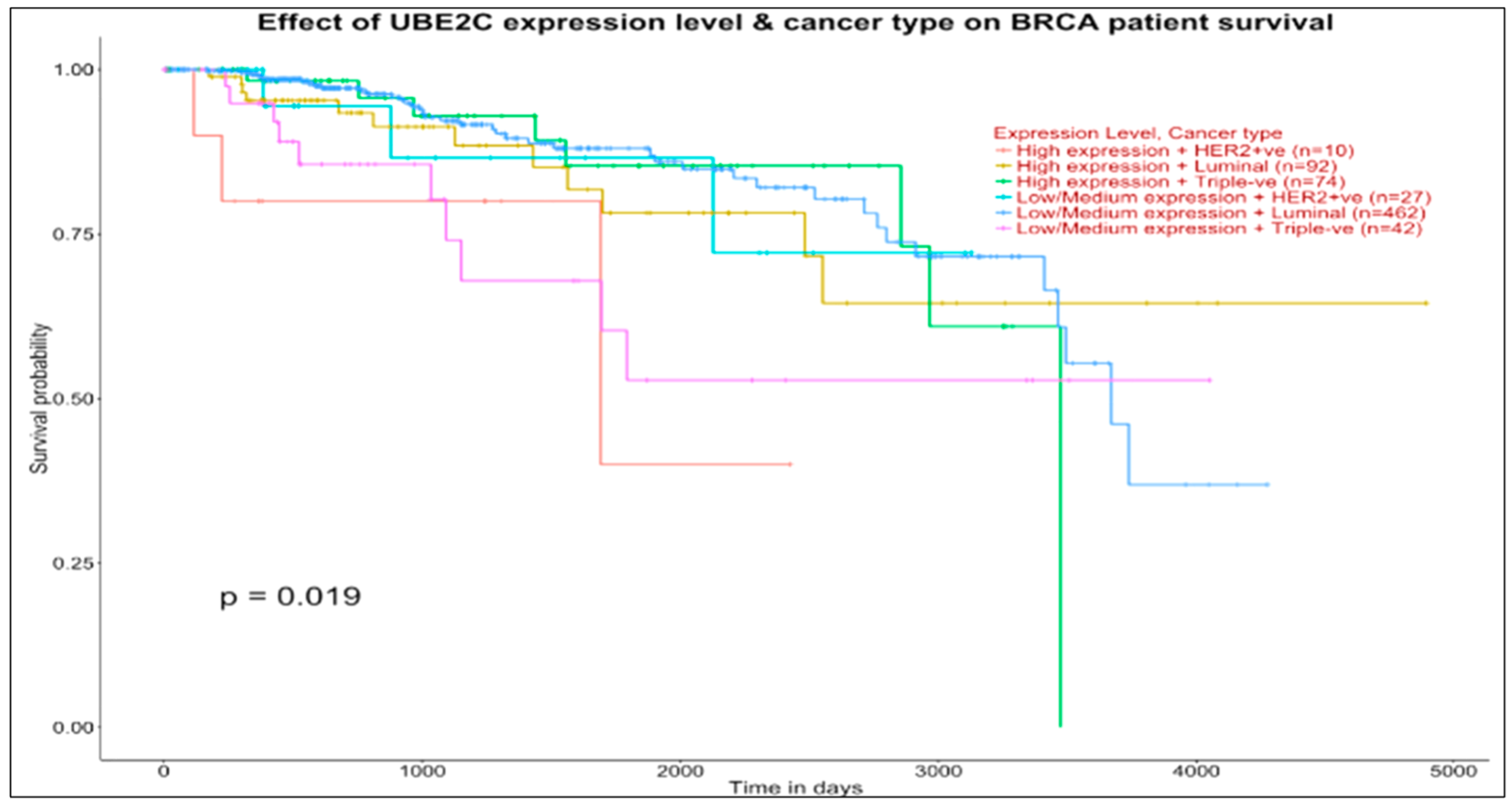 Jcm 11 02103 g005b 550