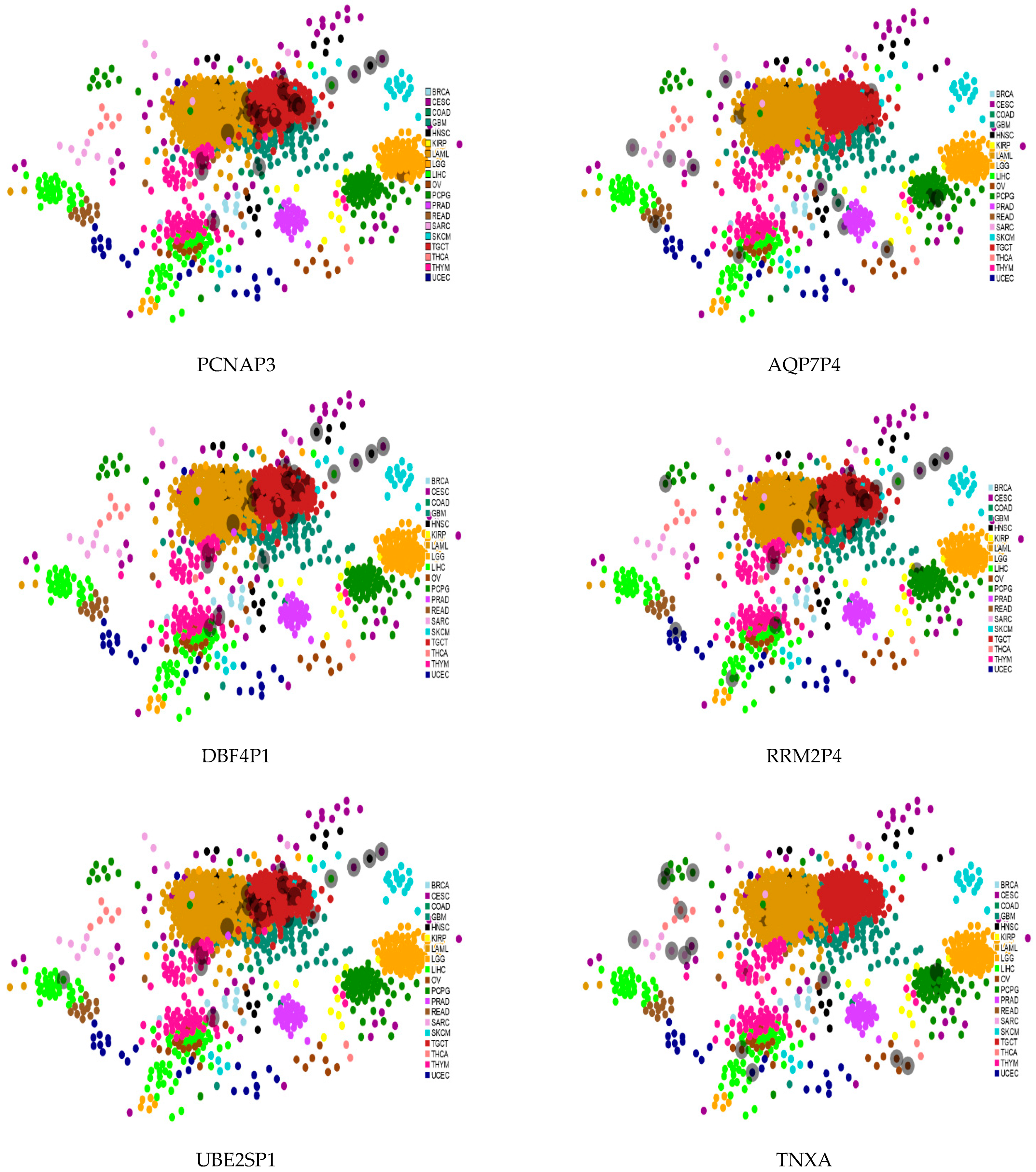 Jcm 11 02103 g007 550