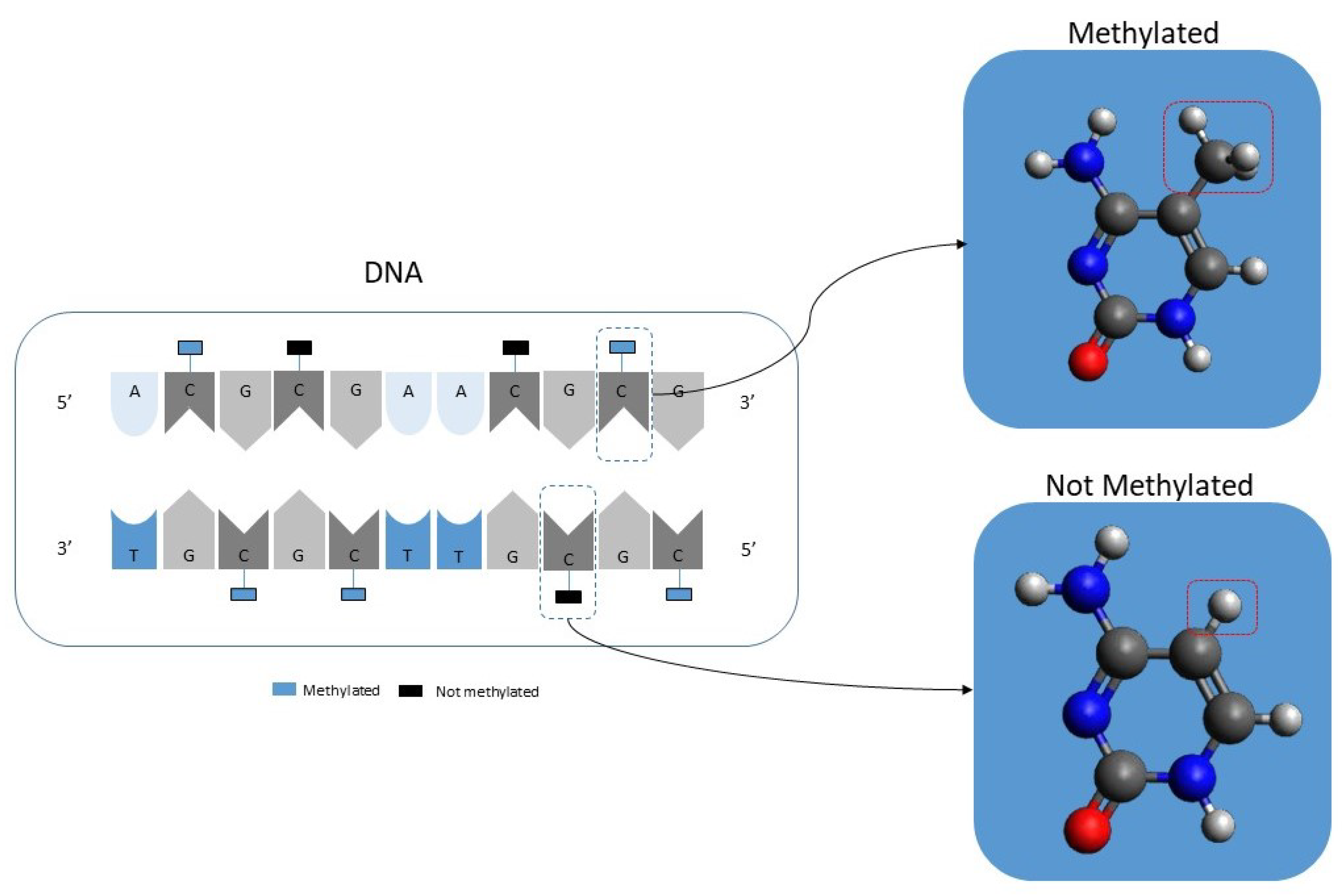 Jcm 11 02110 g001 550