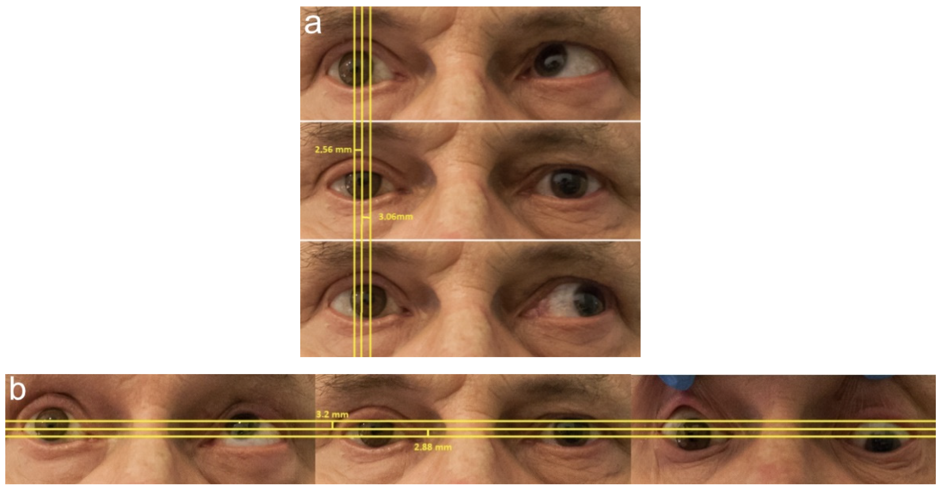 Jcm 11 02141 g001 Jcm 11 02141 g001