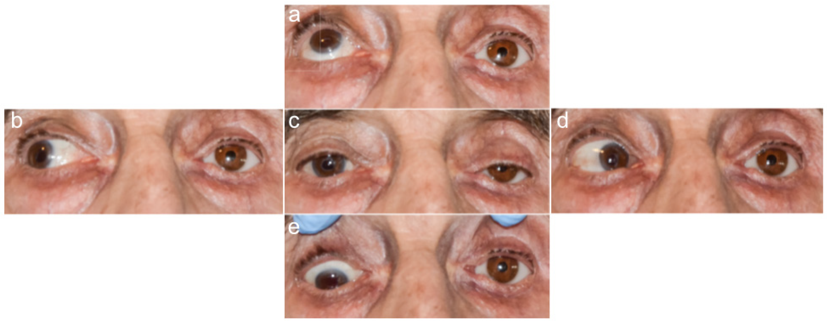 Jcm 11 02141 g005 Jcm 11 02141 g005