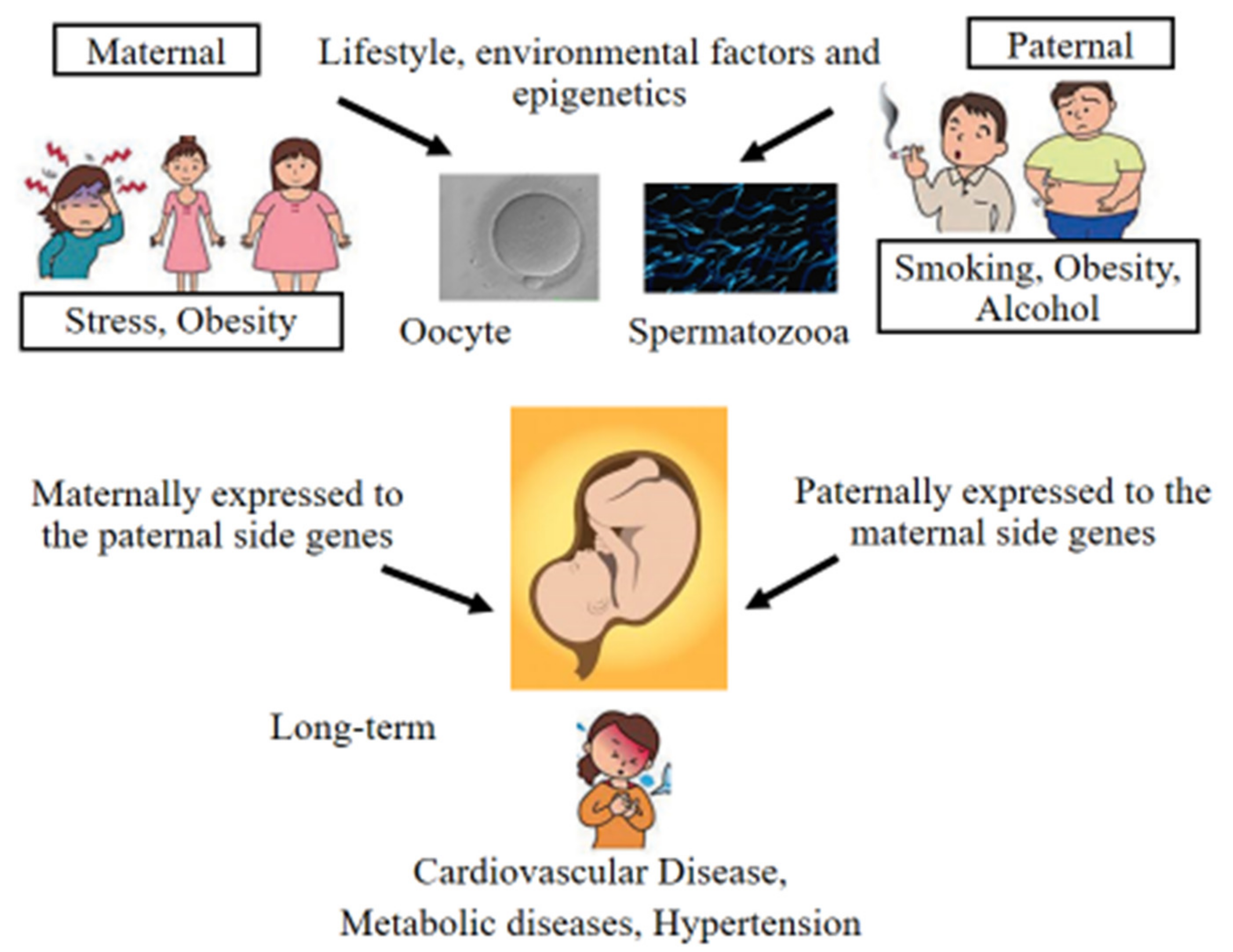 Jcm 11 02151 g004 Jcm 11 02151 g004
