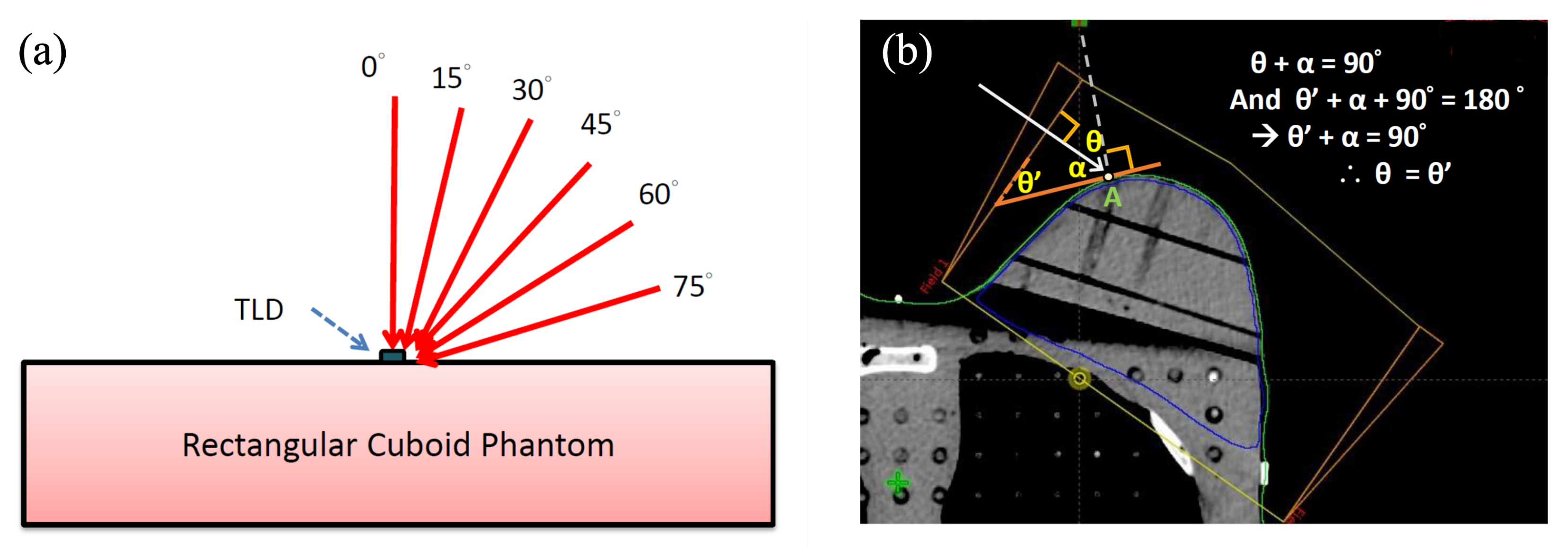 Jcm 11 02154 g002 Jcm 11 02154 g002