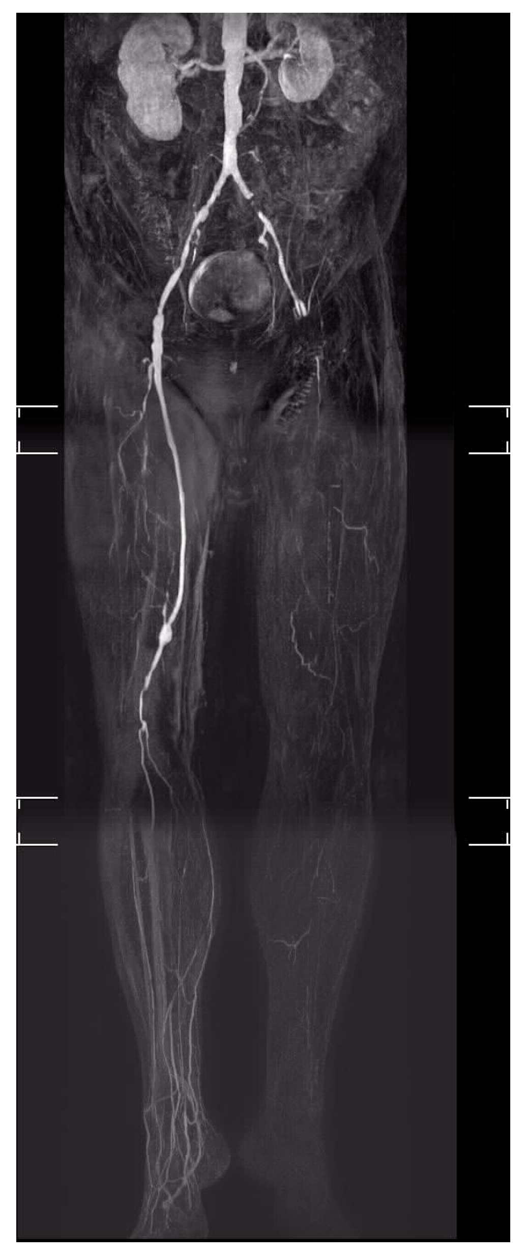 Jcm 11 02155 g002 Jcm 11 02155 g002