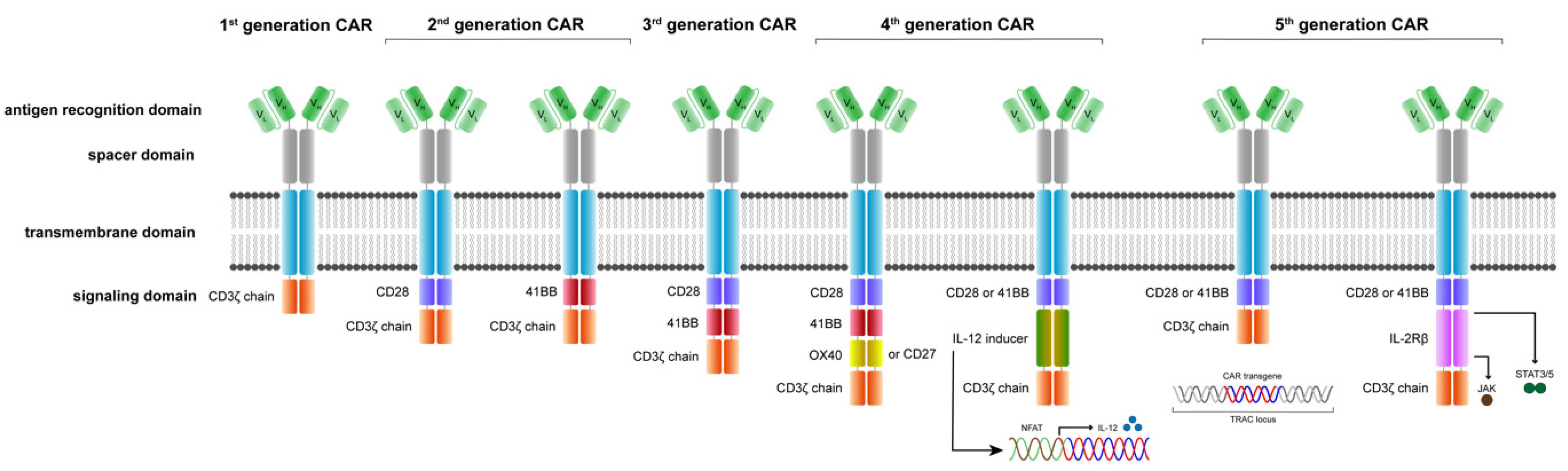 Jcm 11 02158 g002 550