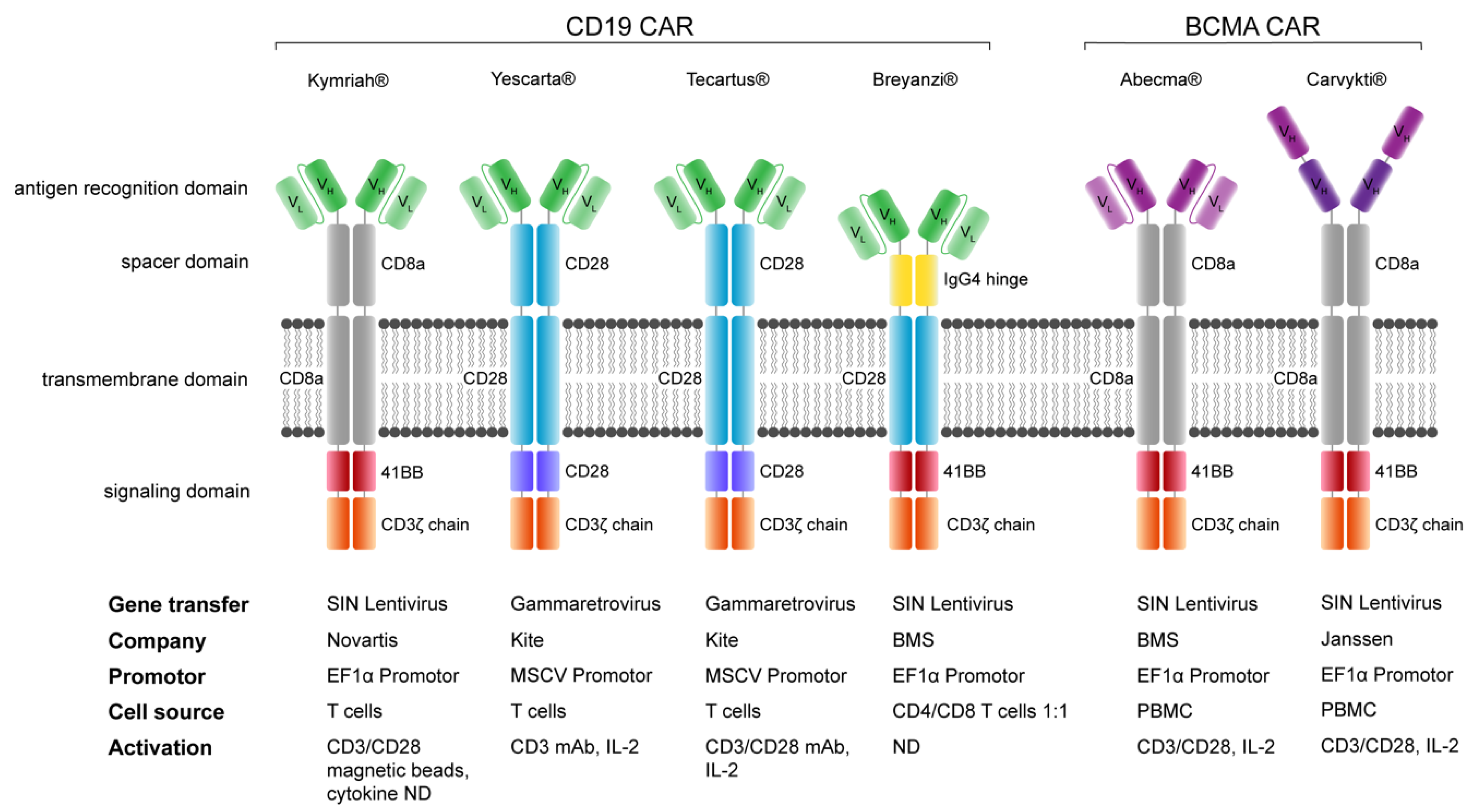 JCM Free FullText Development of CAR T Cell Therapy in Children—A