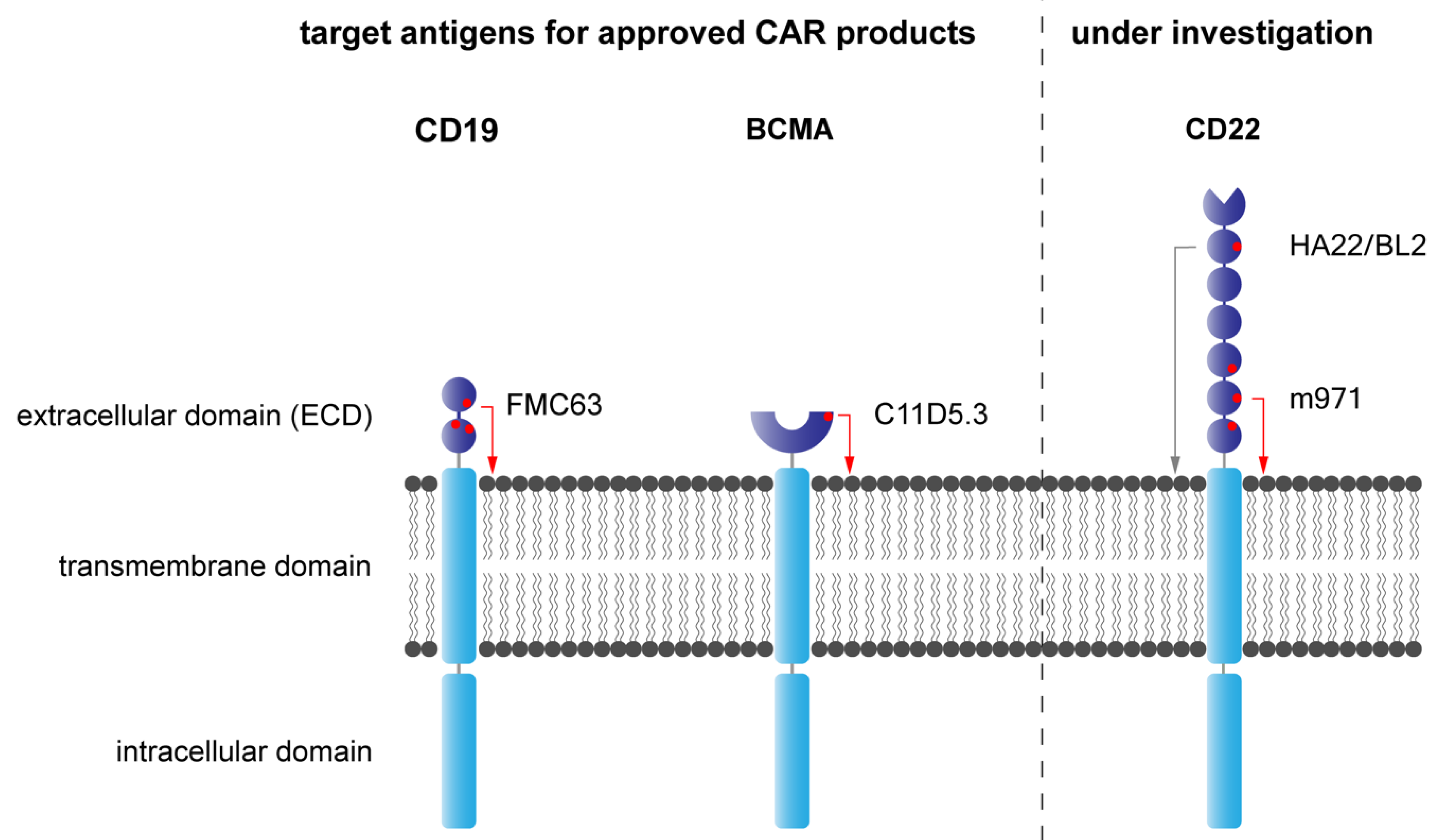 Jcm 11 02158 g004 550