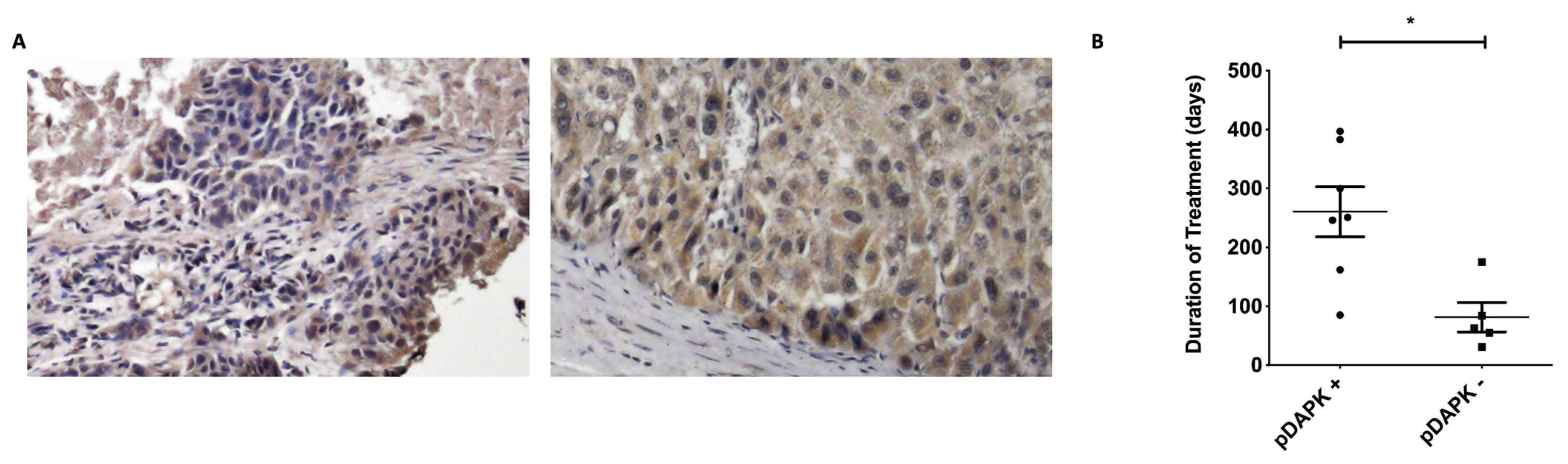 Jcm 11 02183 g002 Jcm 11 02183 g002