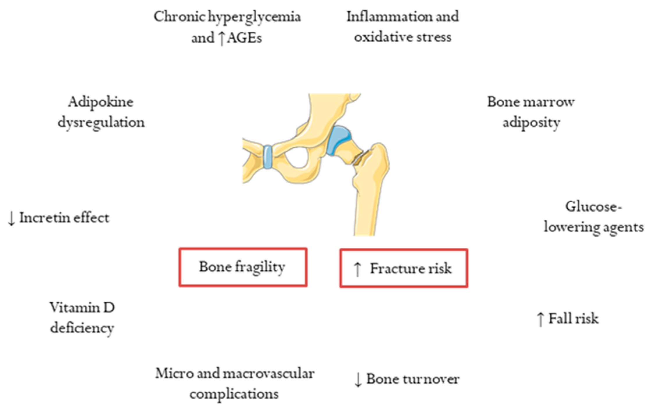 JCM Free FullText Evaluation of Quality and Bone Microstructure