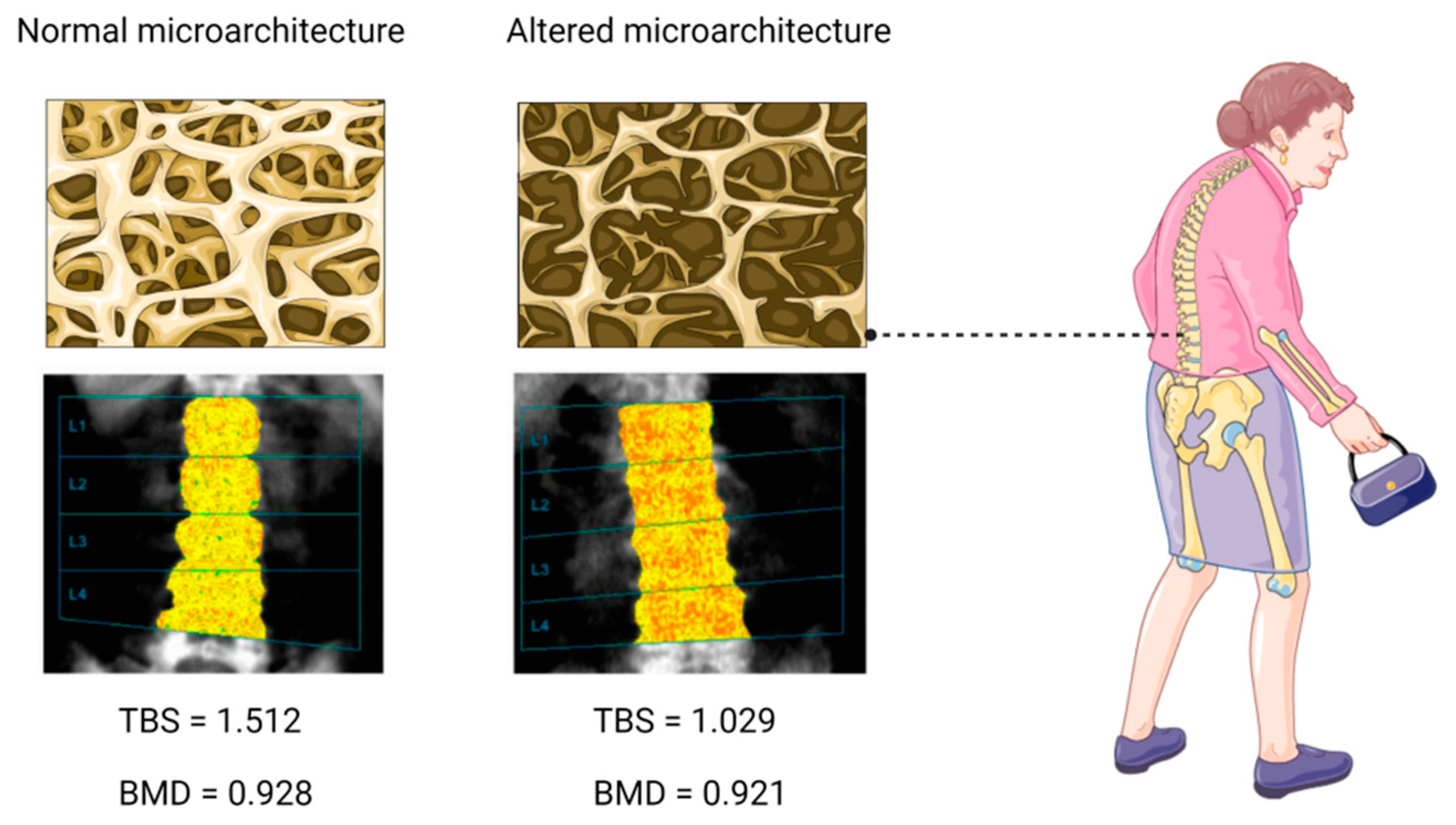 Jcm 11 02206 g002 550