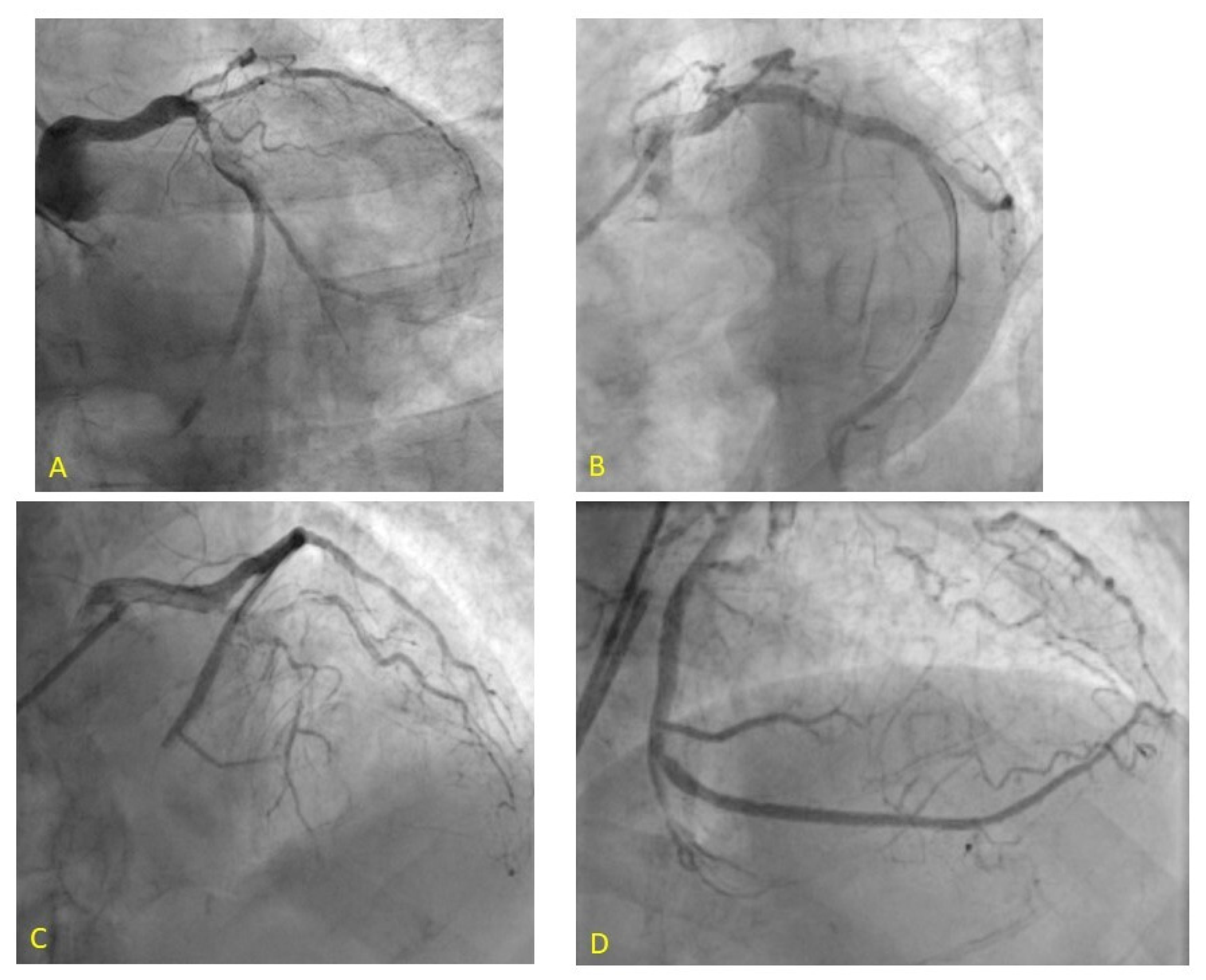 Jcm 11 02233 g002 Jcm 11 02233 g002