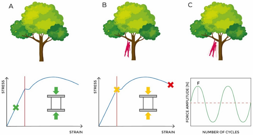 Jcm 11 02284 g002 550