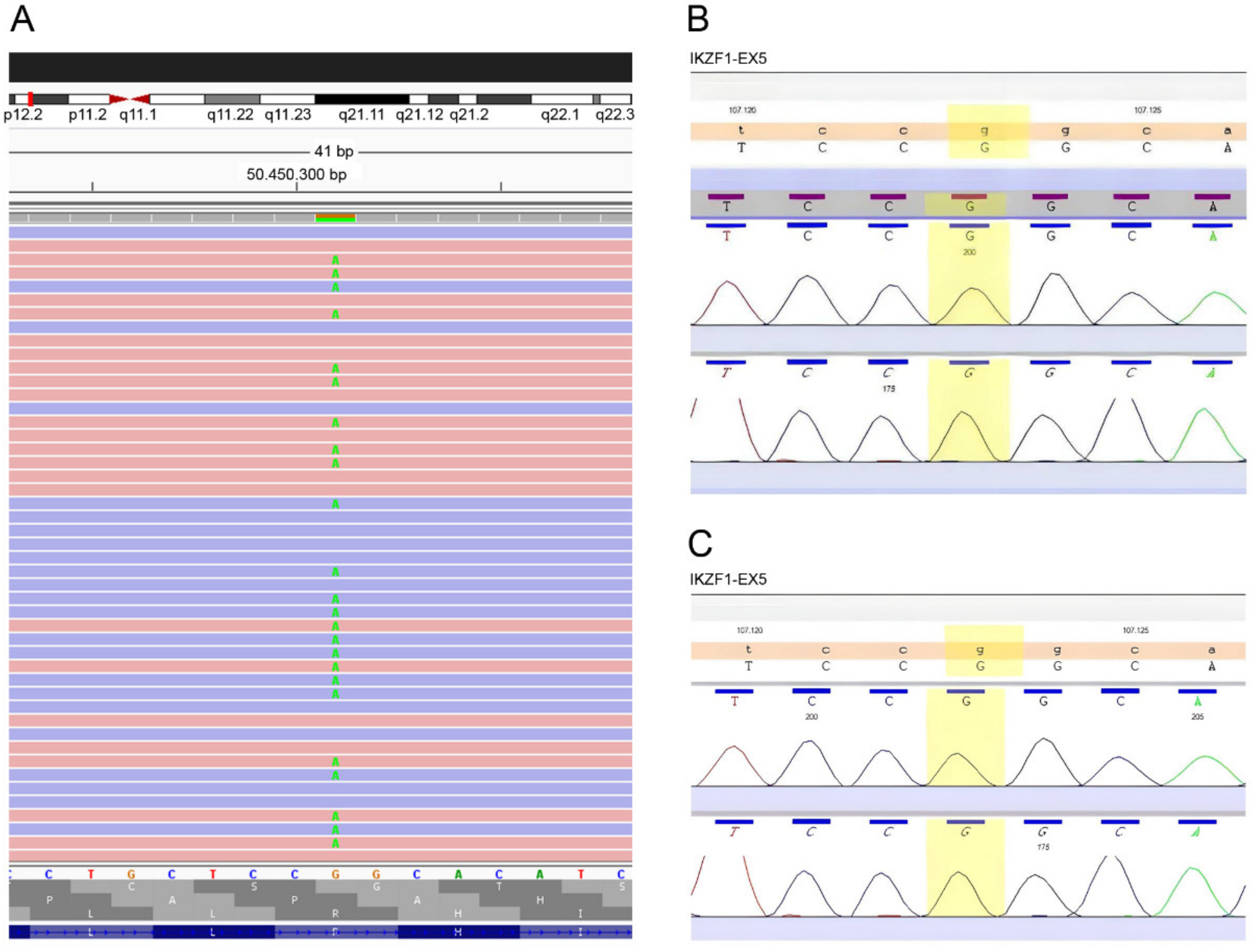 Jcm 11 02303 g002 550