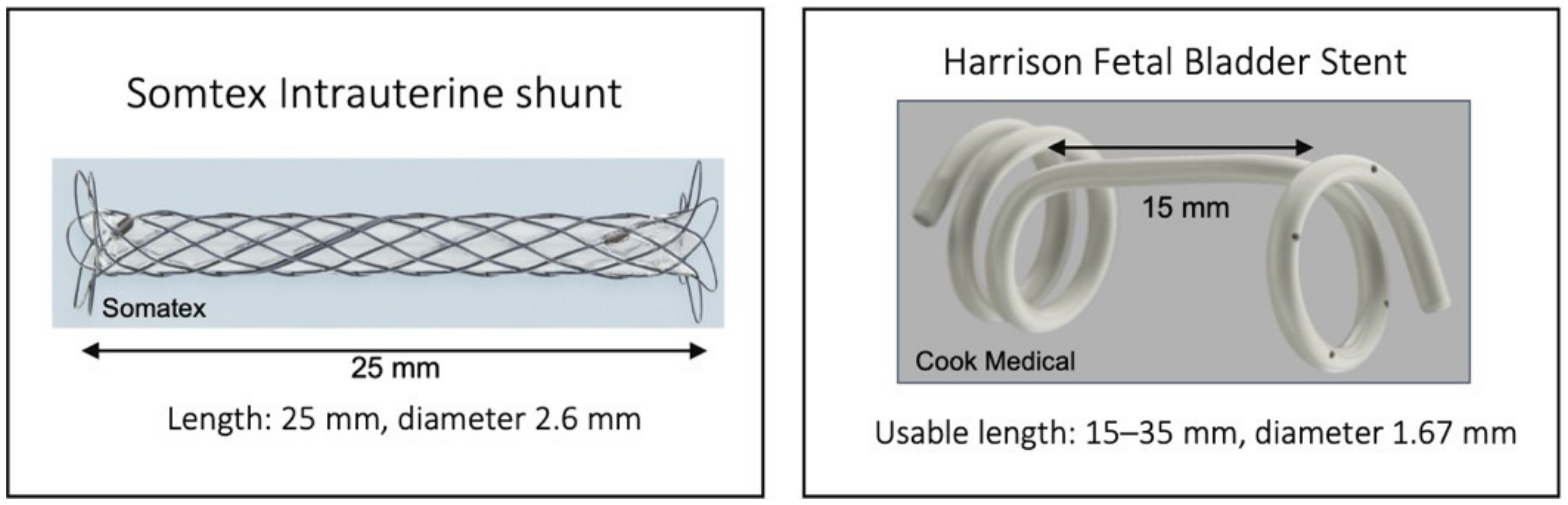 Jcm 11 02312 g001 550