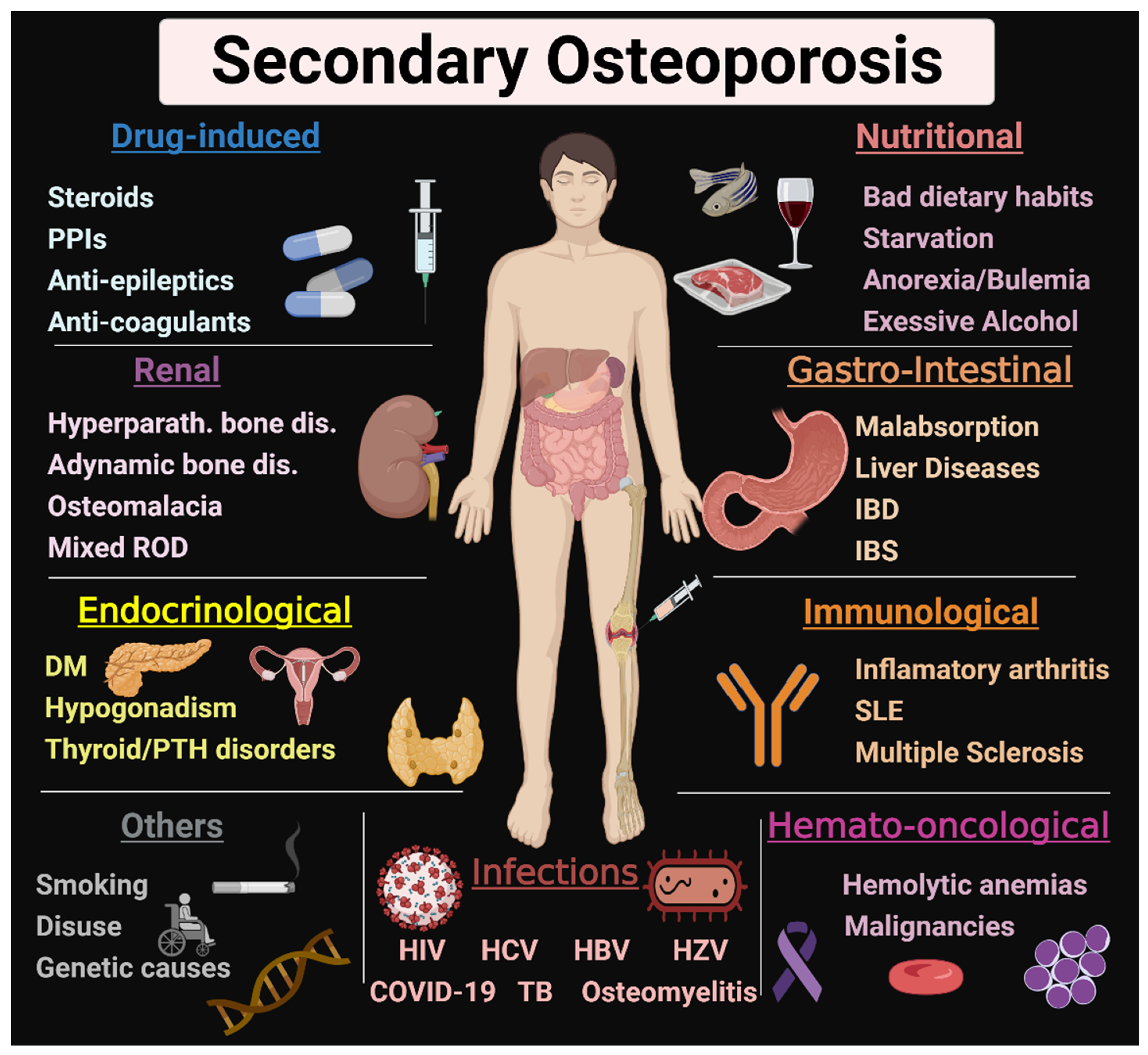 JCM Free Full-Text Secondary Osteoporosis and Metabolic Bone Diseases