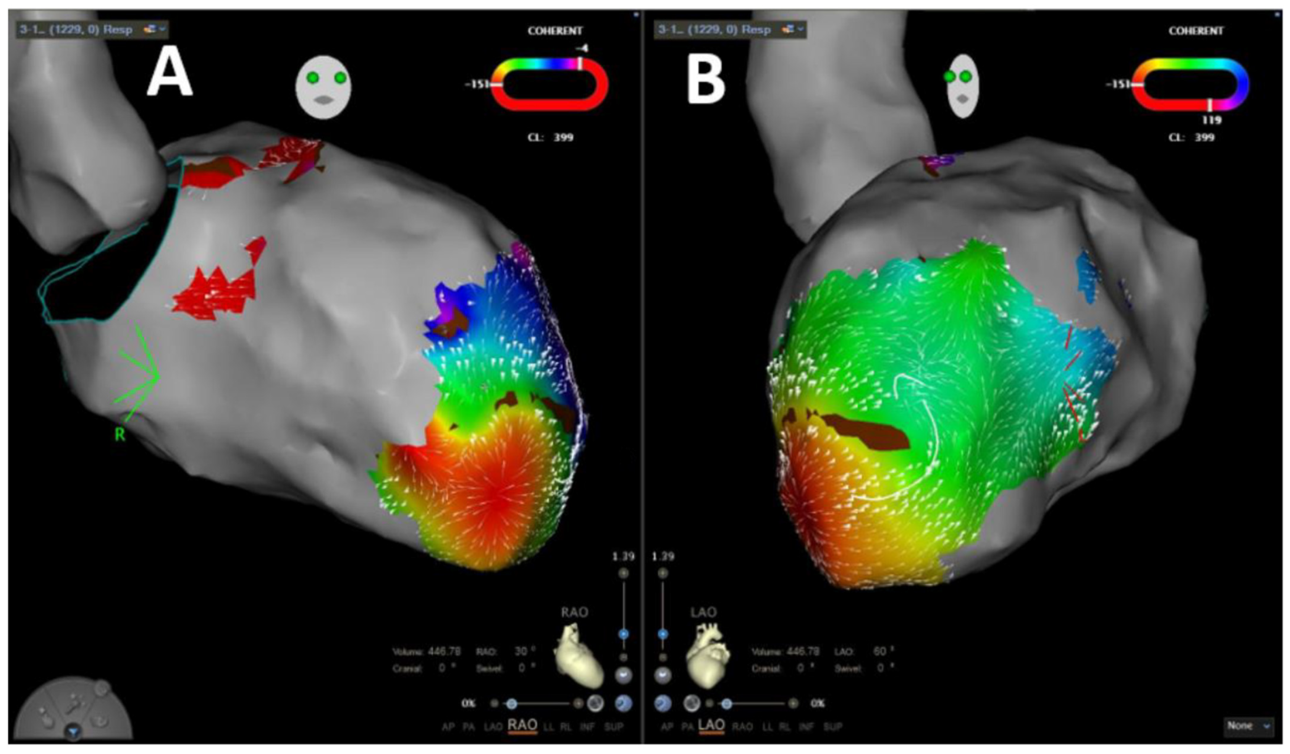 Jcm 11 02418 g002 550