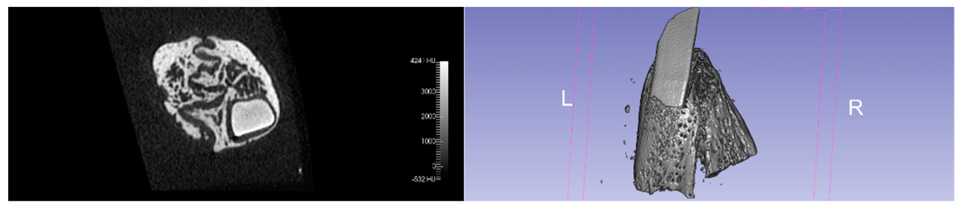 Jcm 11 02493 g001 550