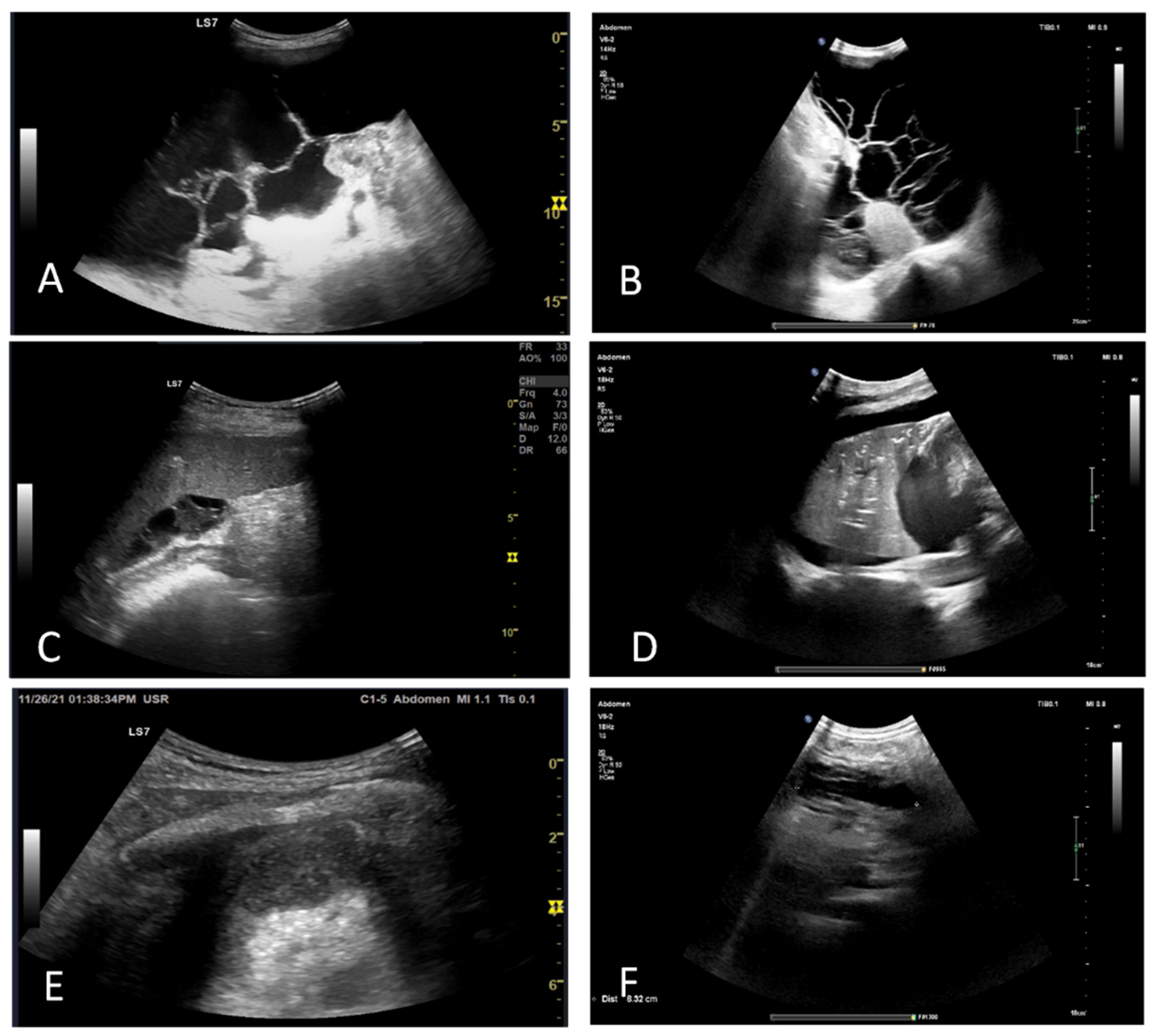 Jcm 11 02554 g004 550