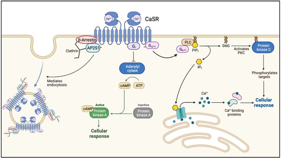 臨床病態栄養学 = Pathophysiological Bases of C… 臨床病態栄養学 = Pathophysiological Bases of C