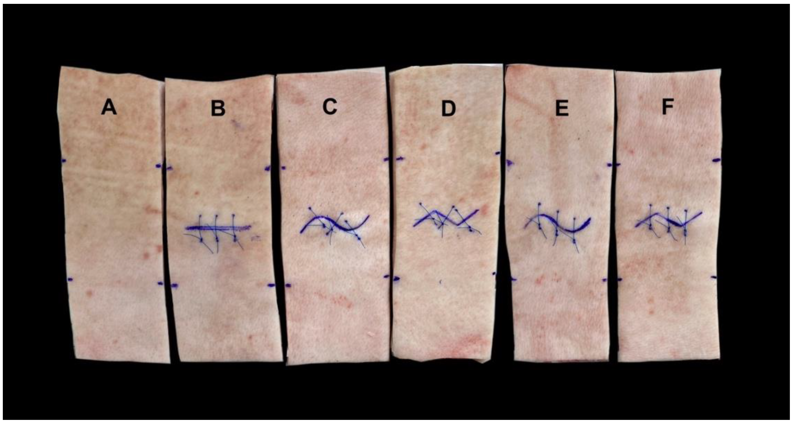 Jcm 11 02600 g001 550
