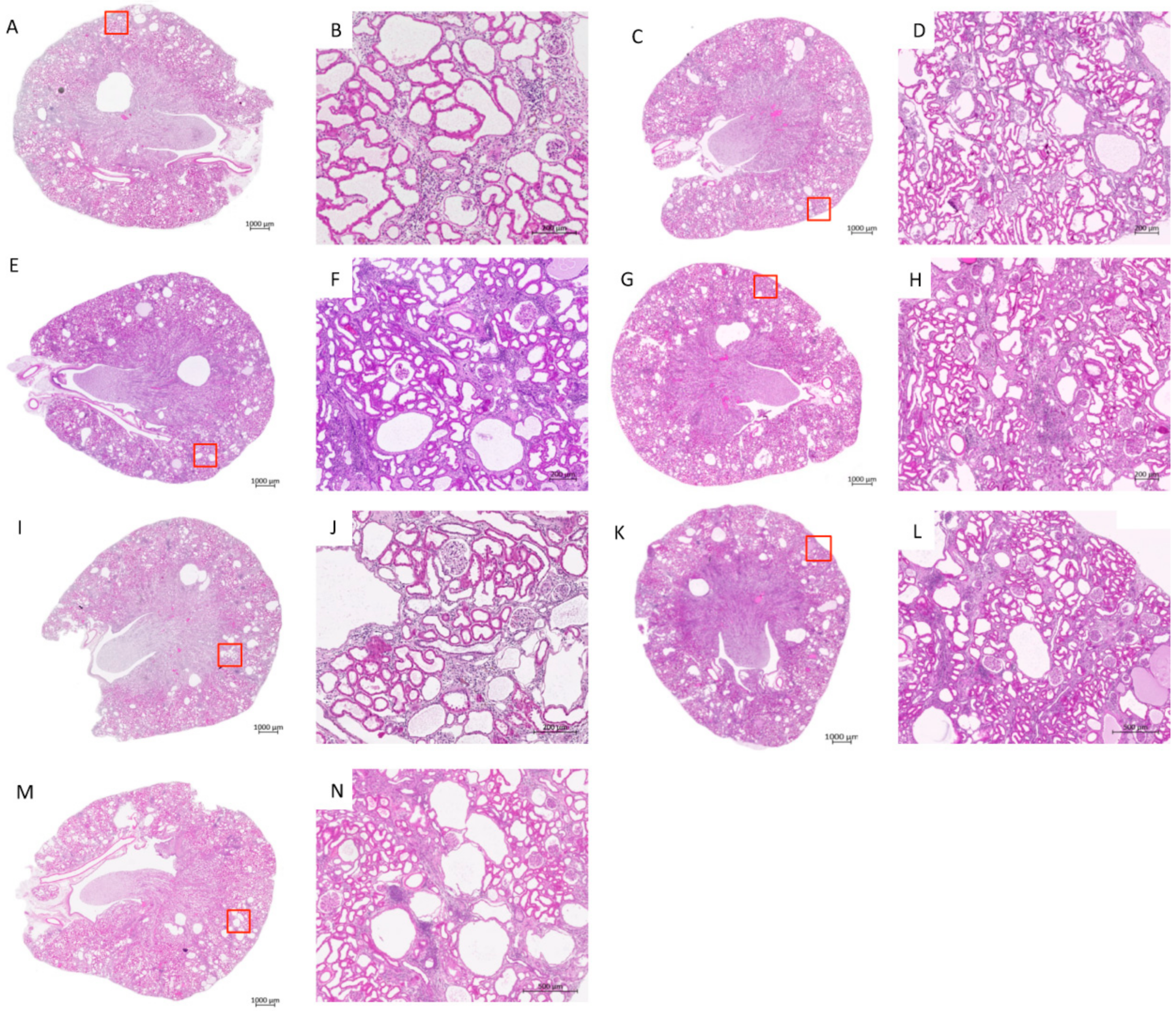 Jcm 11 02601 g003 550