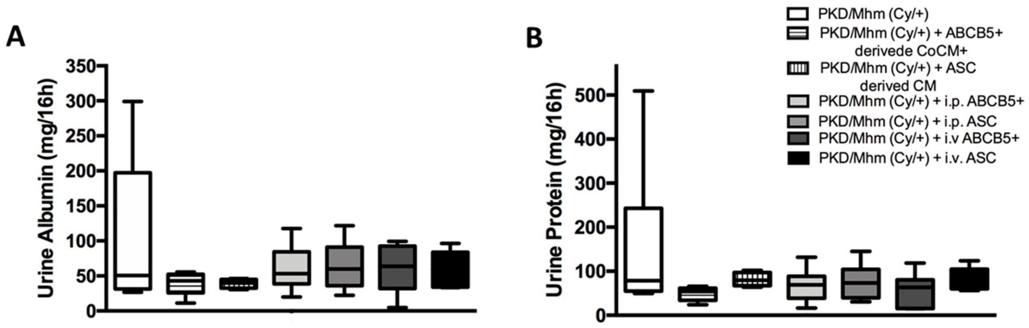 Jcm 11 02601 g006 550