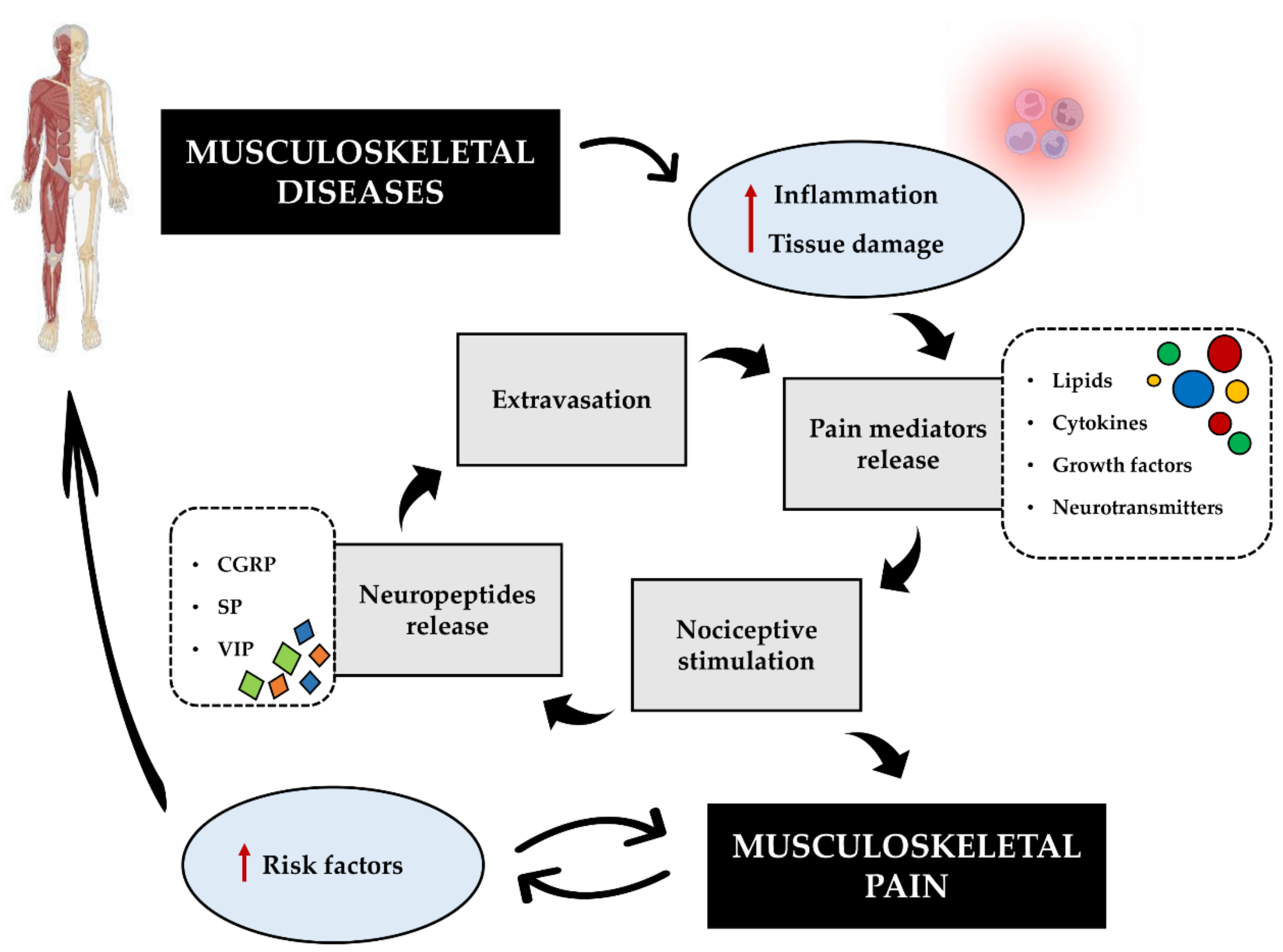 Jcm 11 02609 g003 Jcm 11 02609 g003