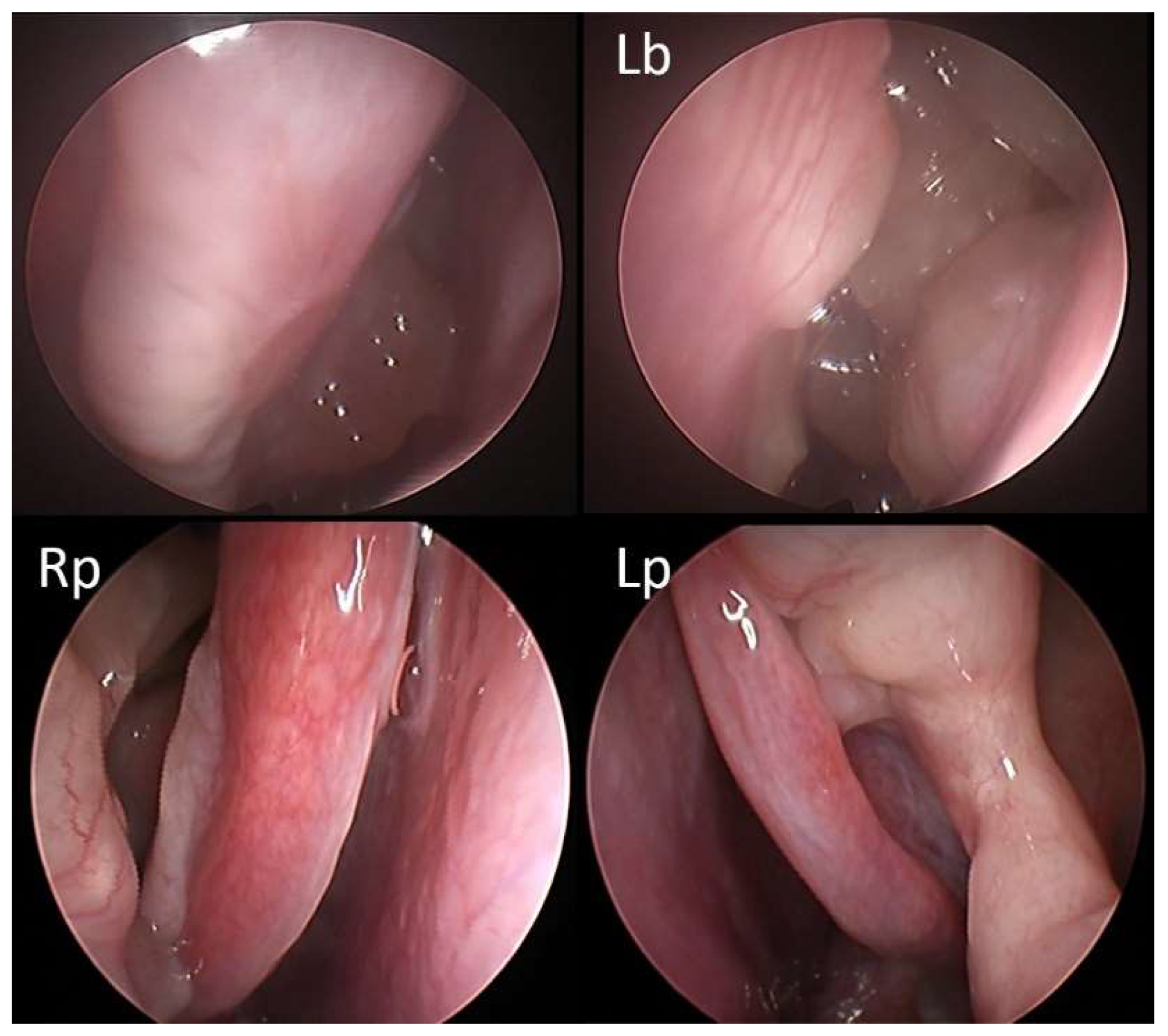 Jcm 11 02684 g004 550
