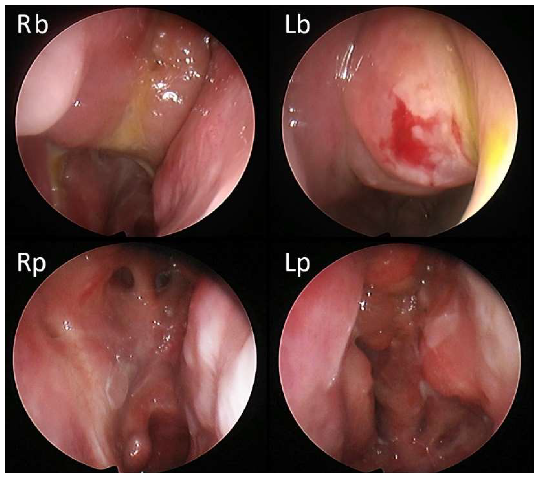Jcm 11 02684 g005 550